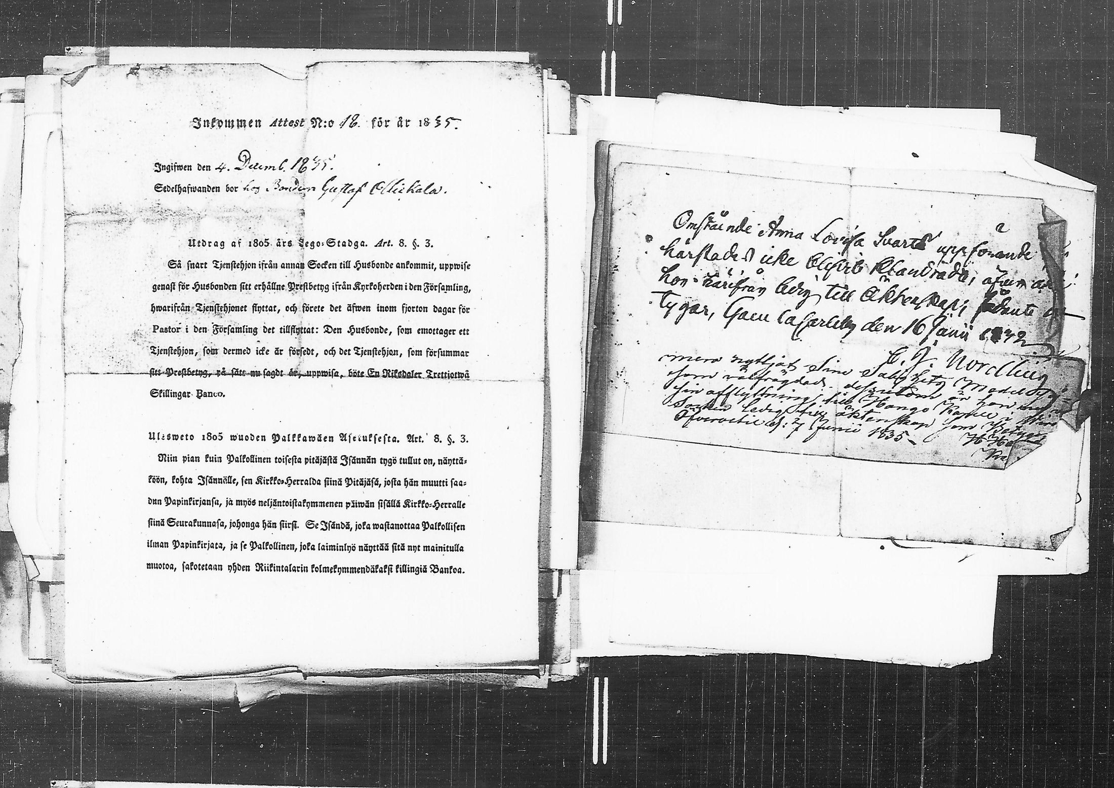[ kuvat/125.jpg ]
