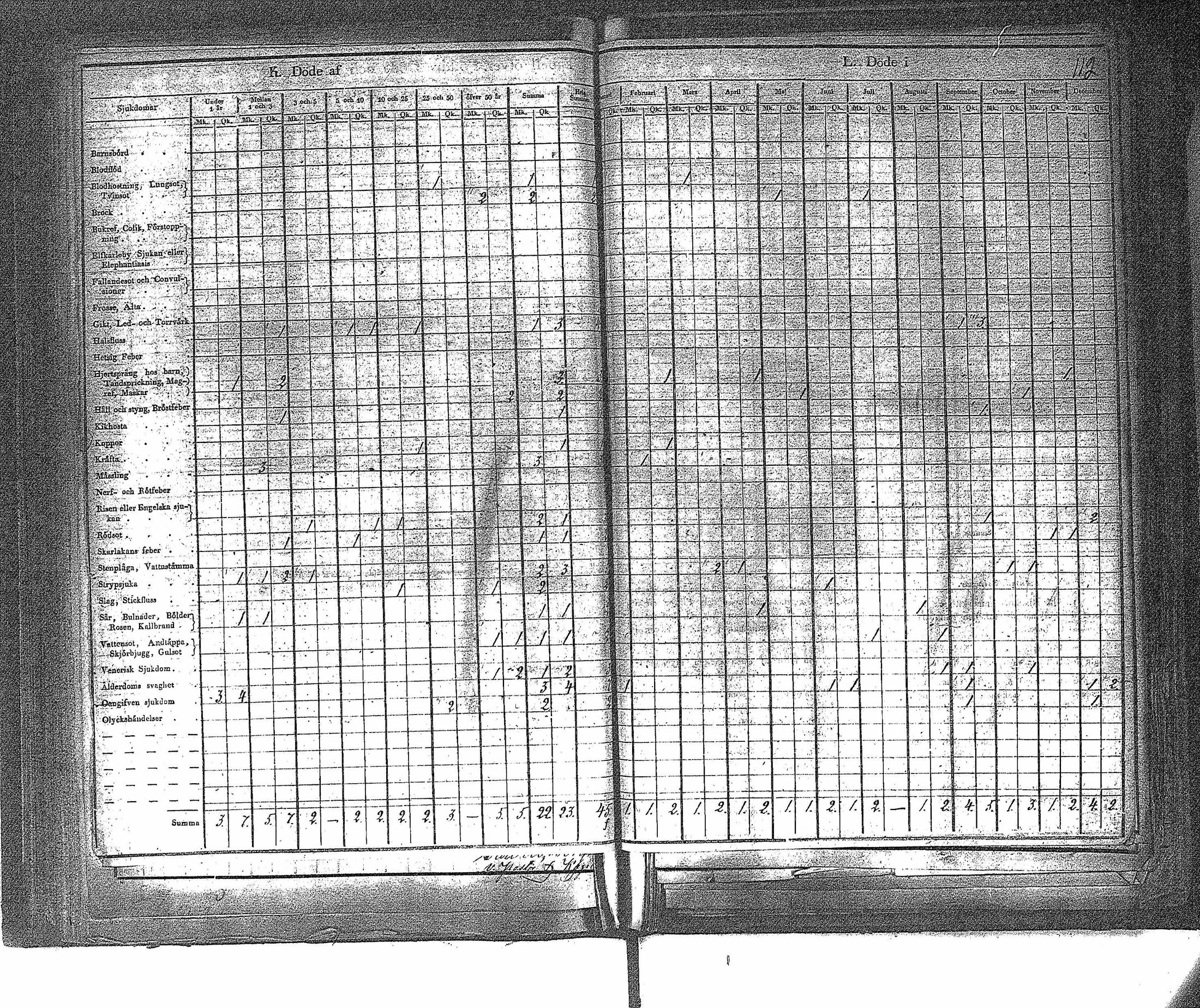 [ kuvat/115.jpg ]