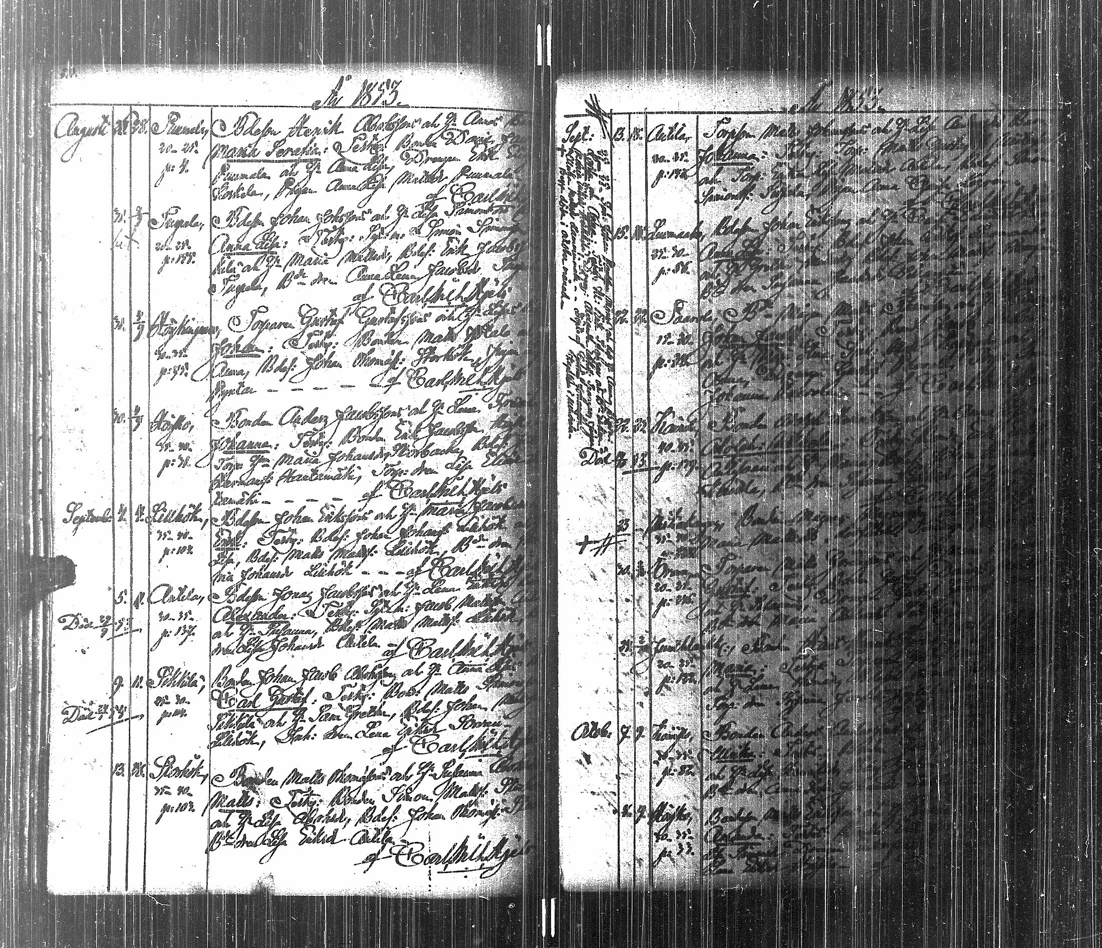 [ kuvat/119.jpg ]