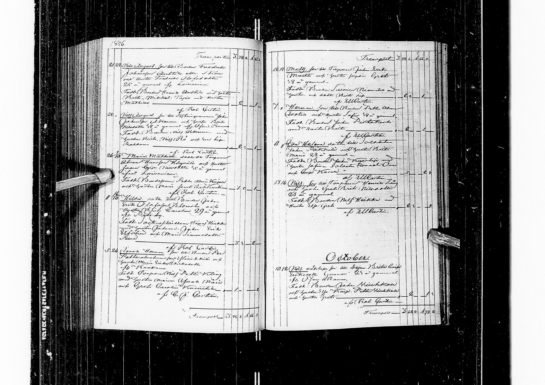 [ kuvat/213.jpg ]