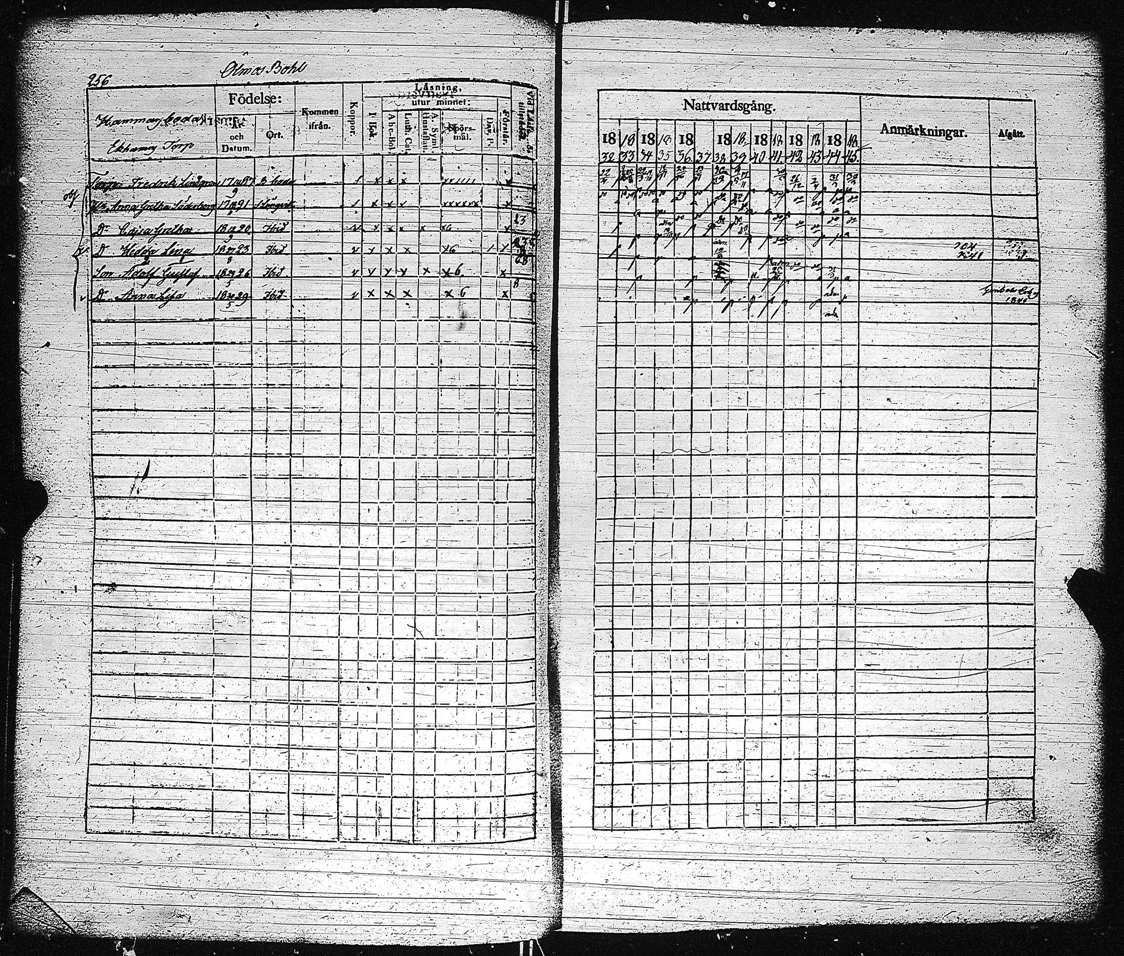 [ kuvat/255.jpg ]