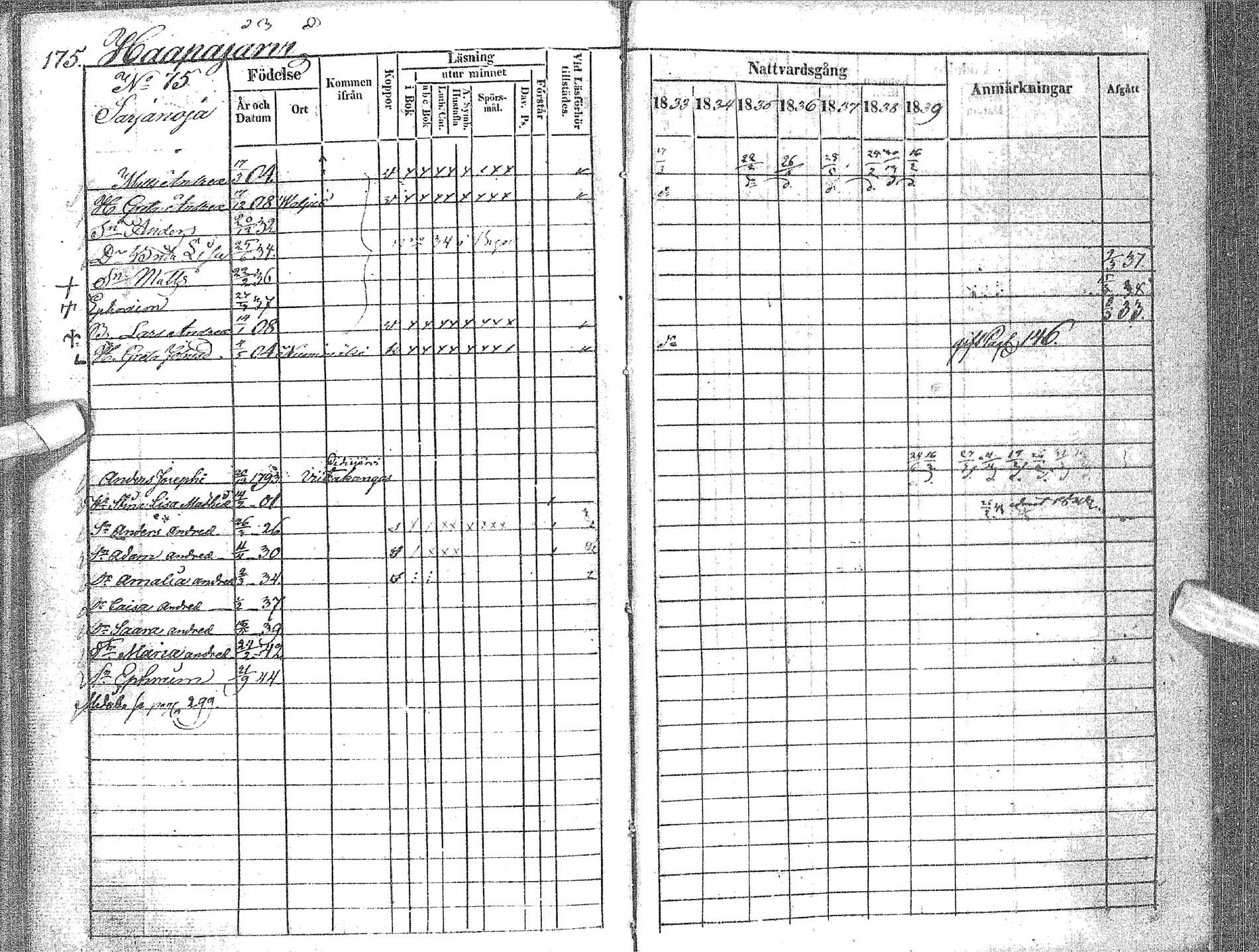 [ kuvat/178.jpg ]