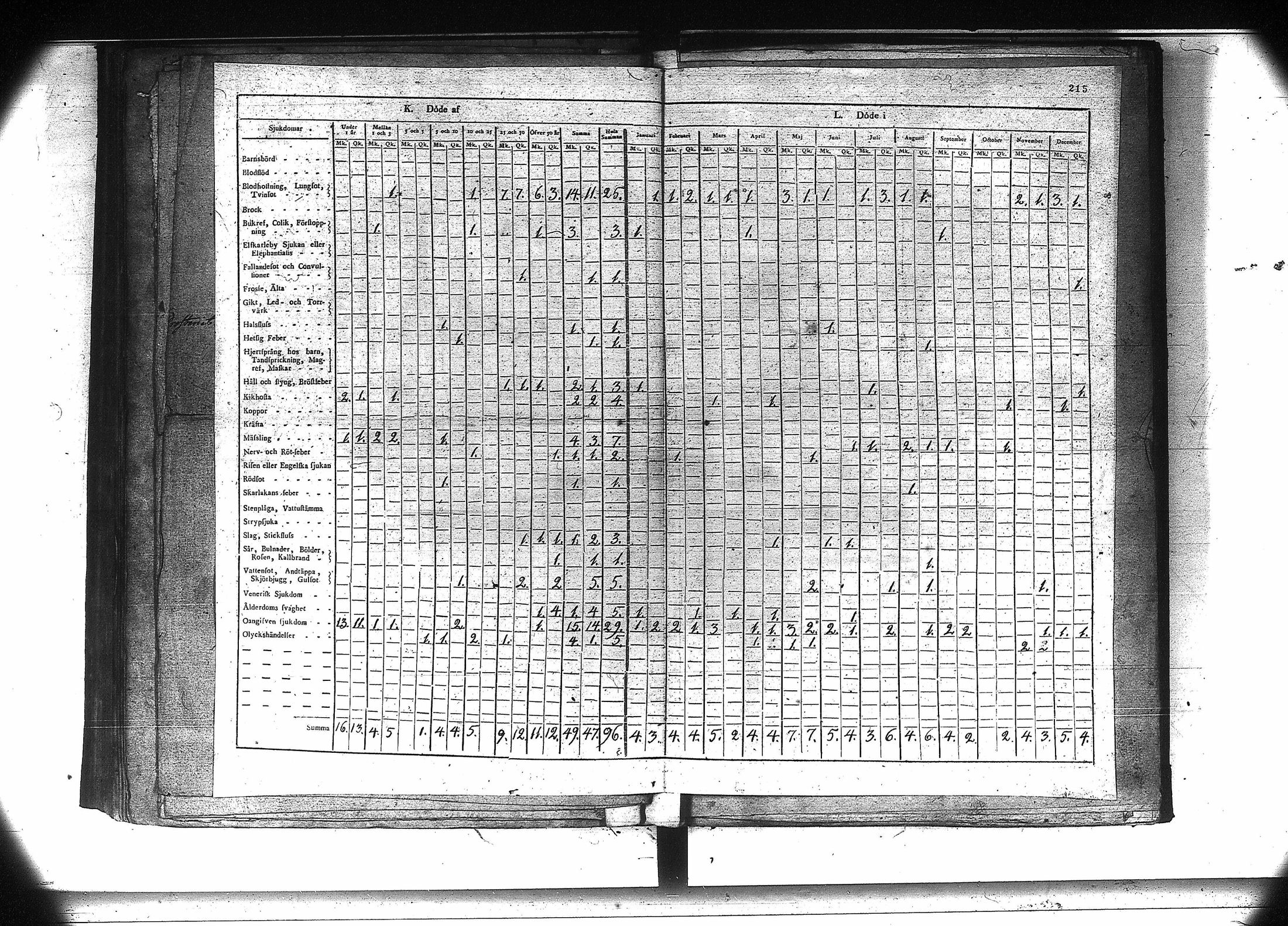 [ kuvat/222.jpg ]