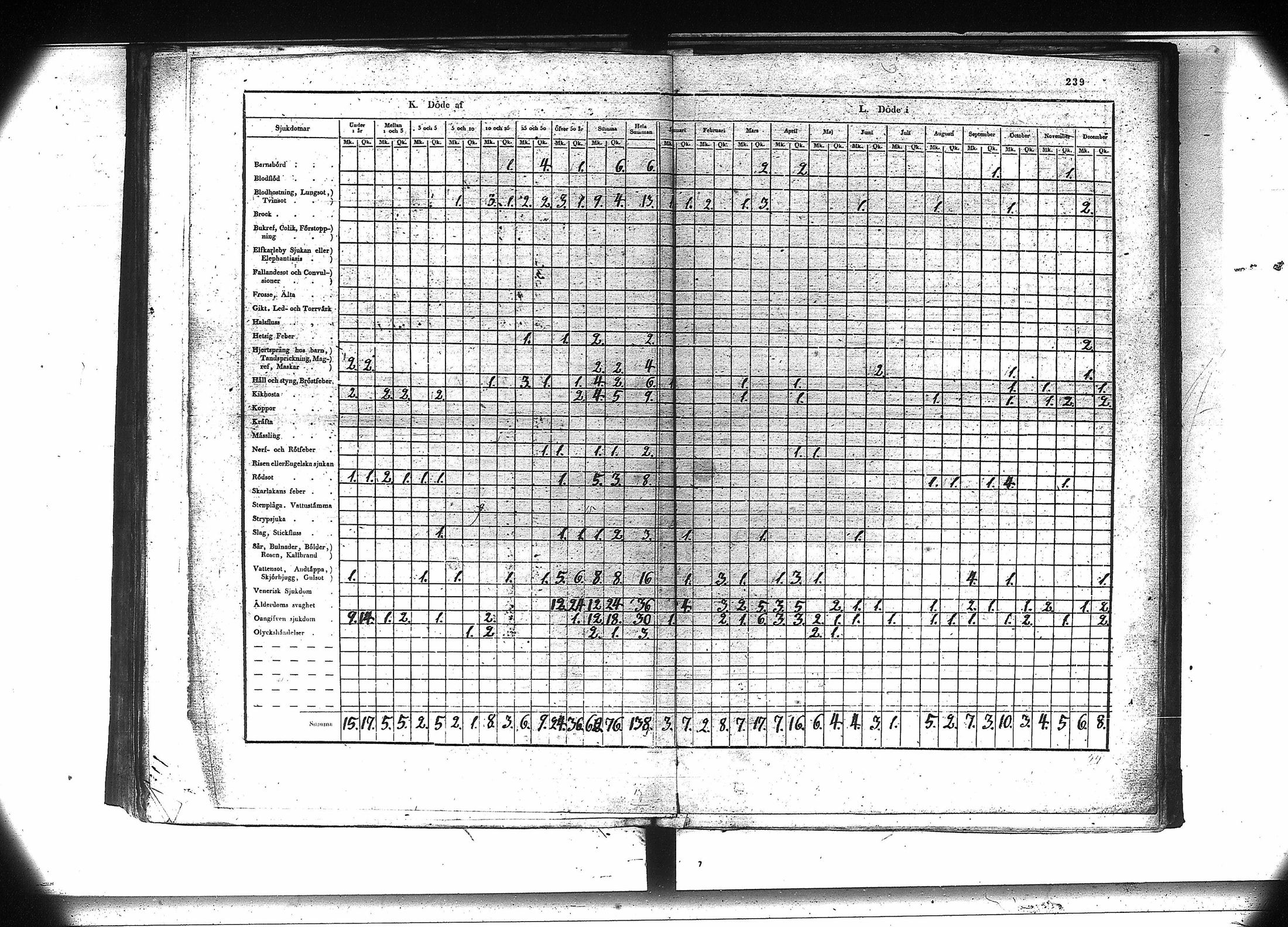 [ kuvat/246.jpg ]