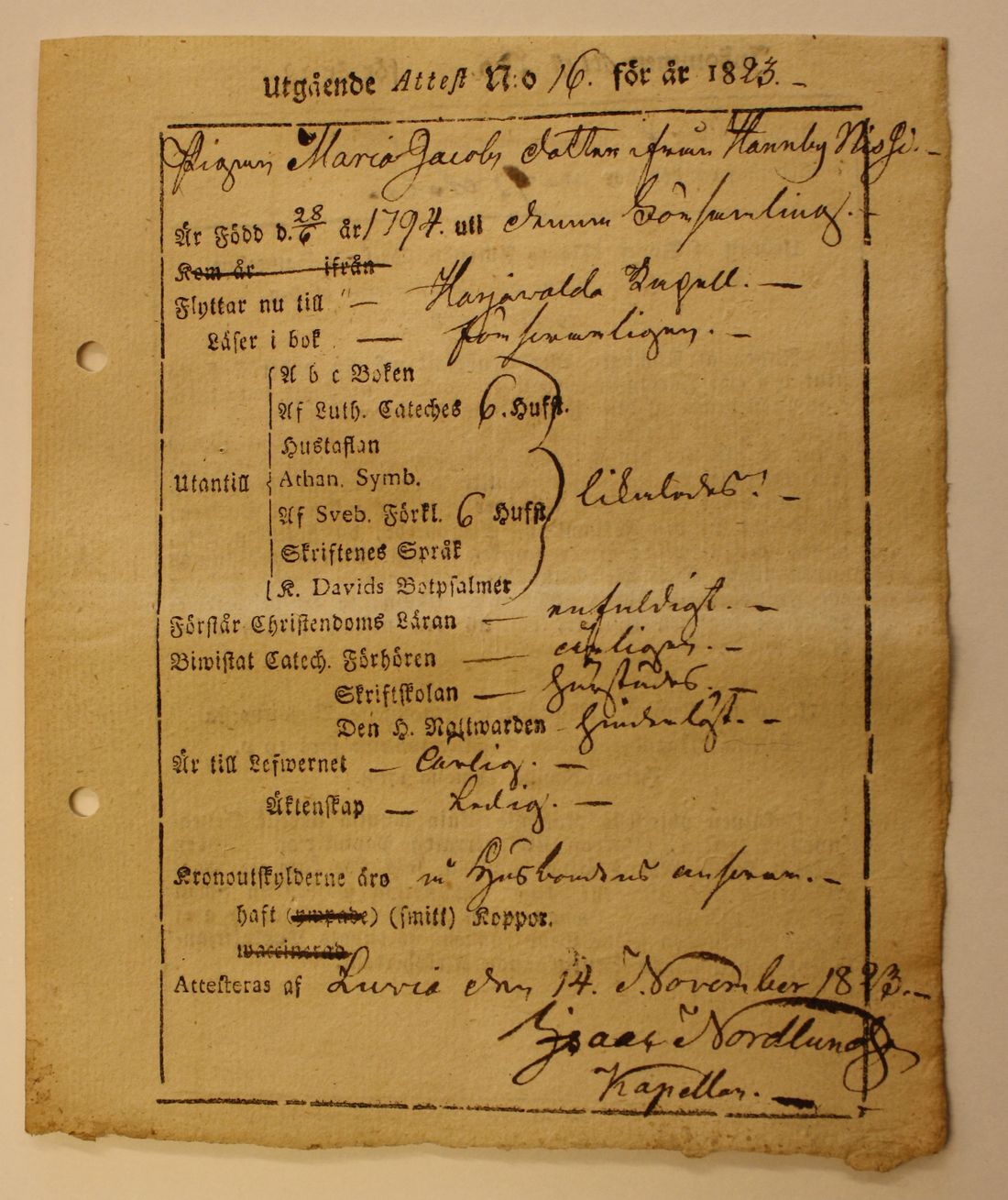 [ kuvat/223.jpg ]
