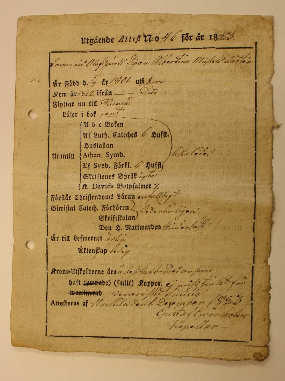 [ kuvat/239.jpg ]