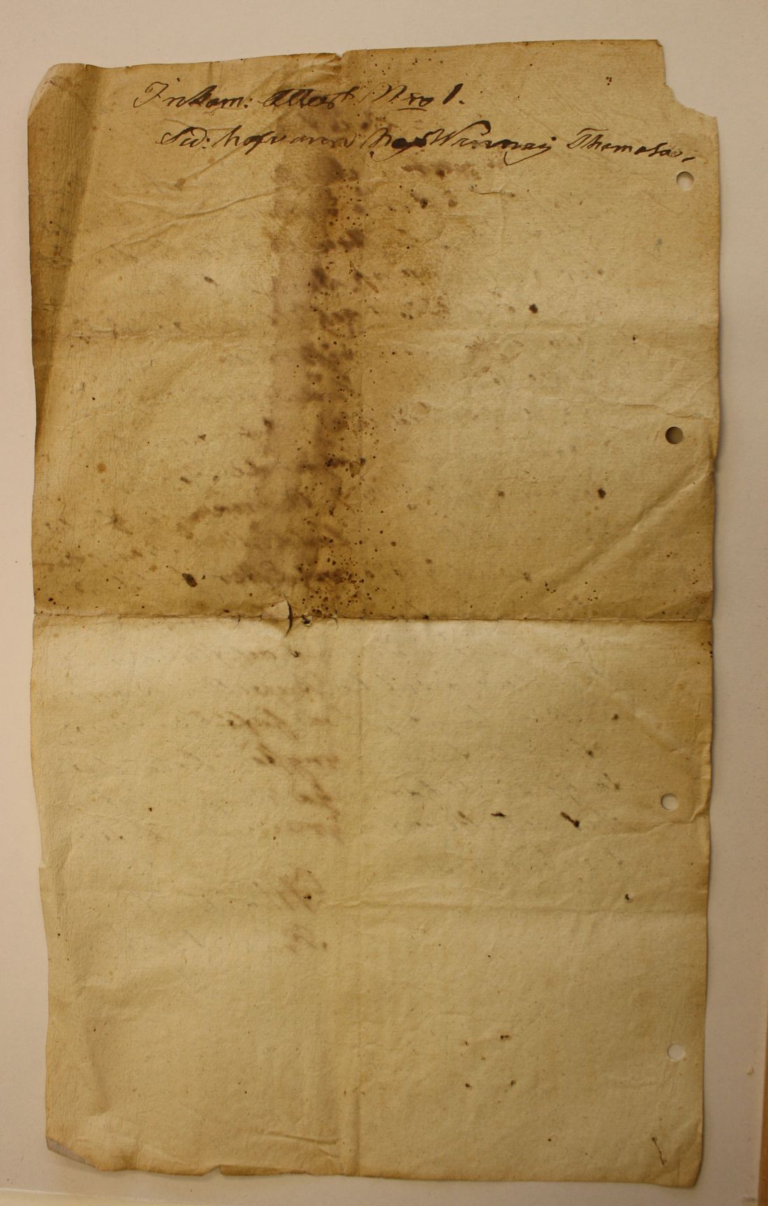 [ kuvat/542.jpg ]