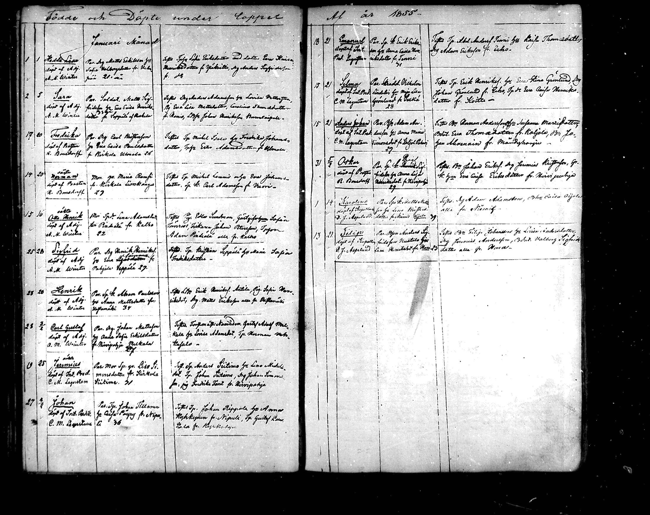 [ kuvat/114.jpg ]