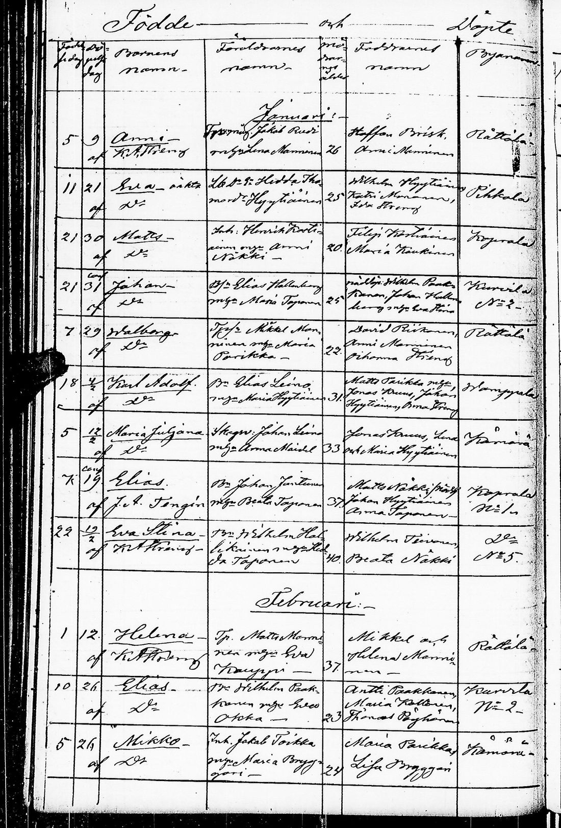 [ kuvat/171.jpg ]