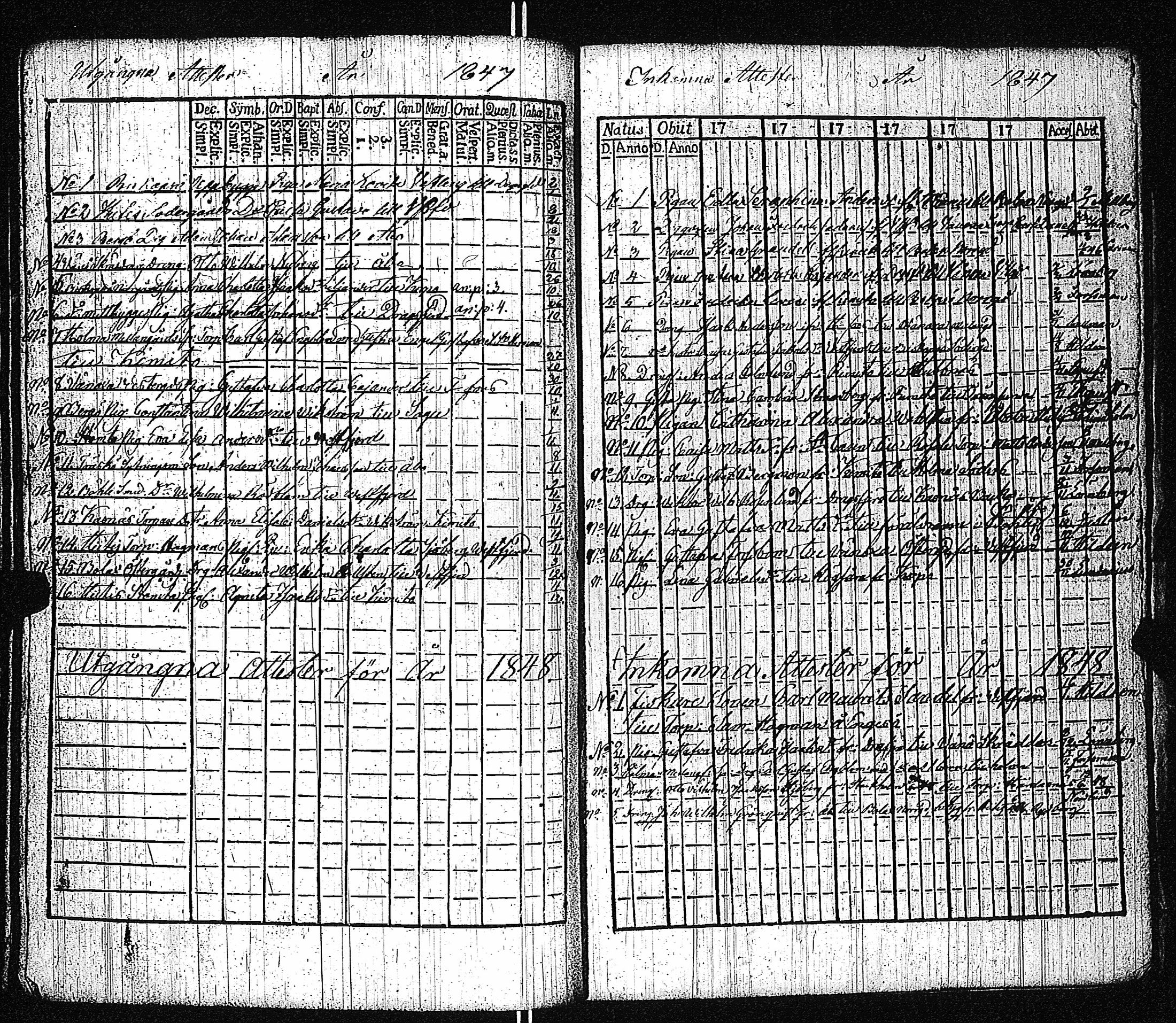 [ kuvat/217.jpg ]