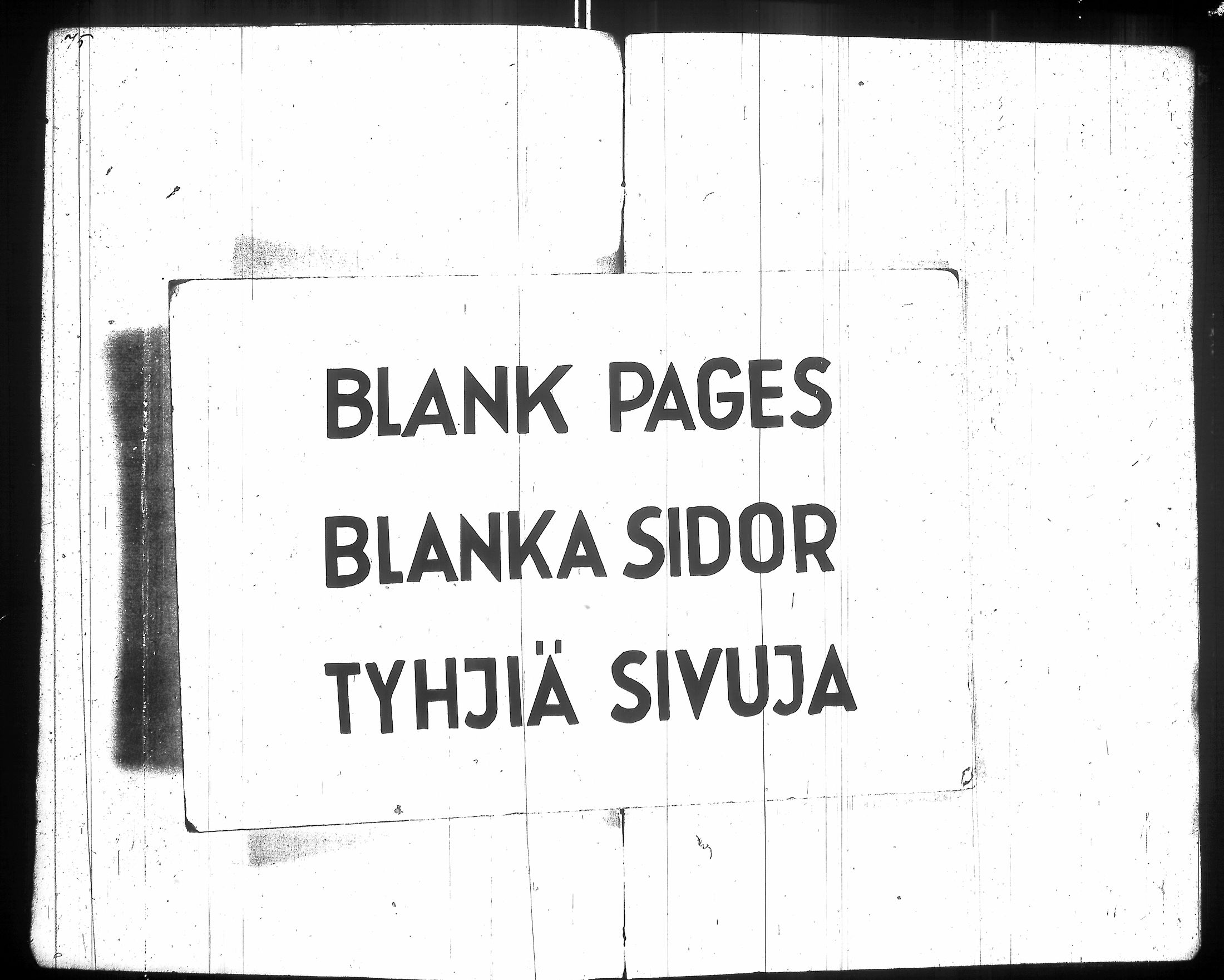 [ kuvat/242.jpg ]