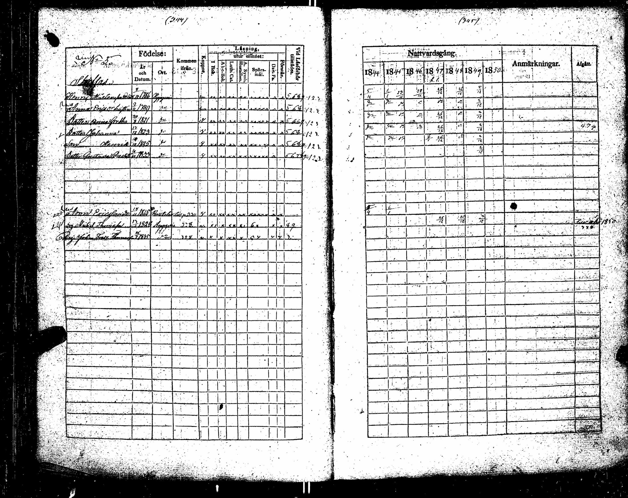 [ kuvat/183.jpg ]