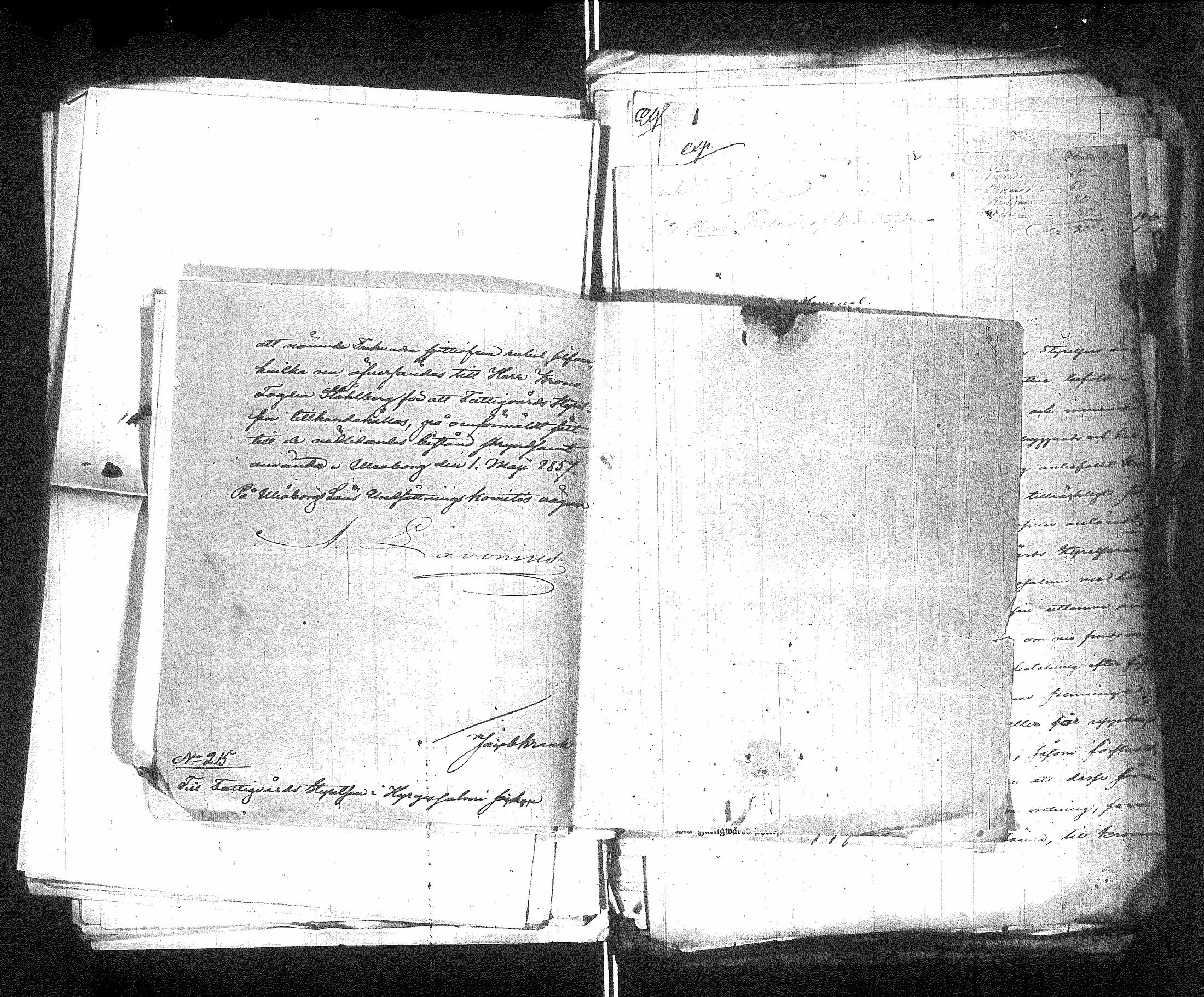 [ kuvat/203.jpg ]