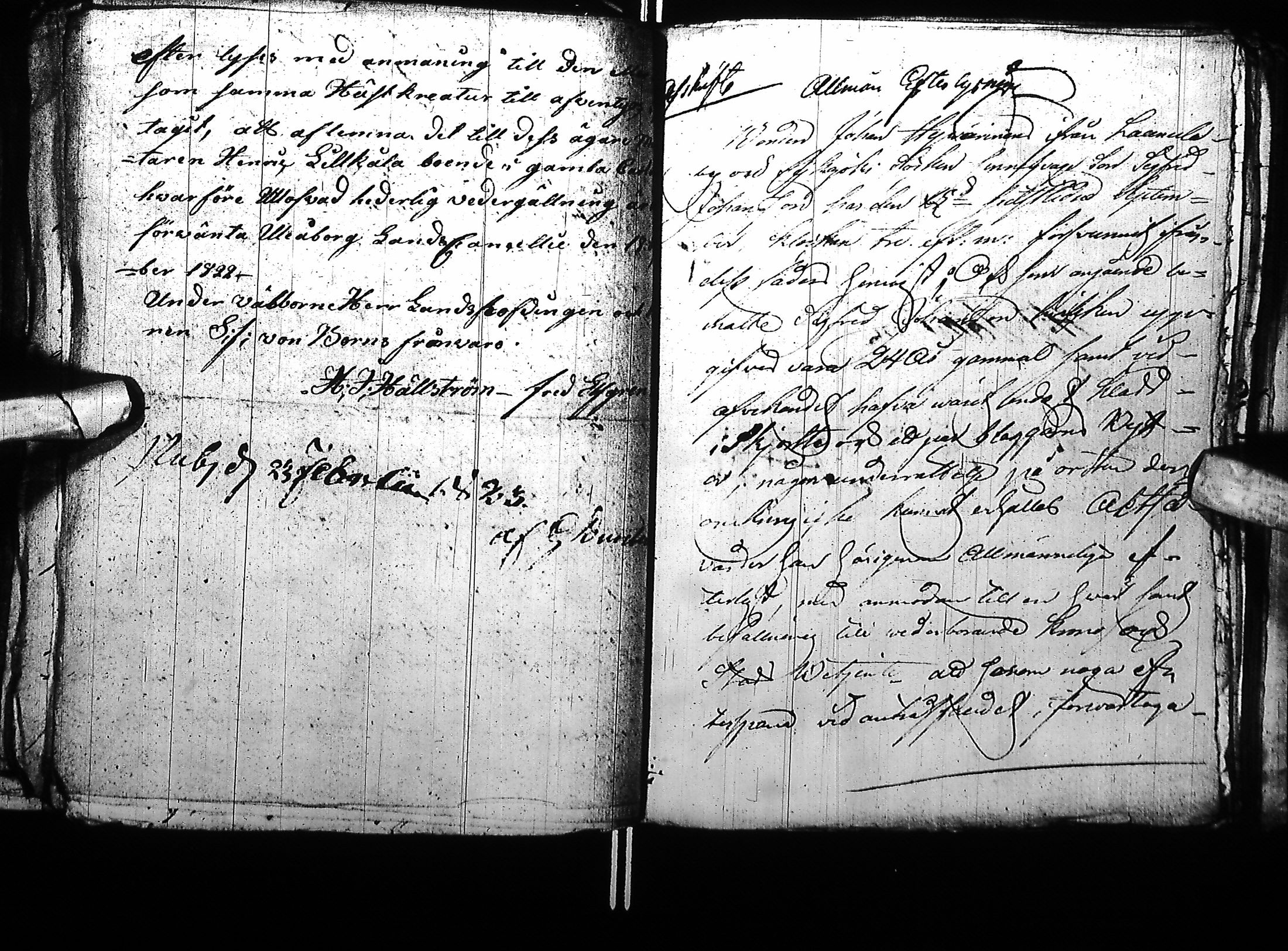[ kuvat/165.jpg ]