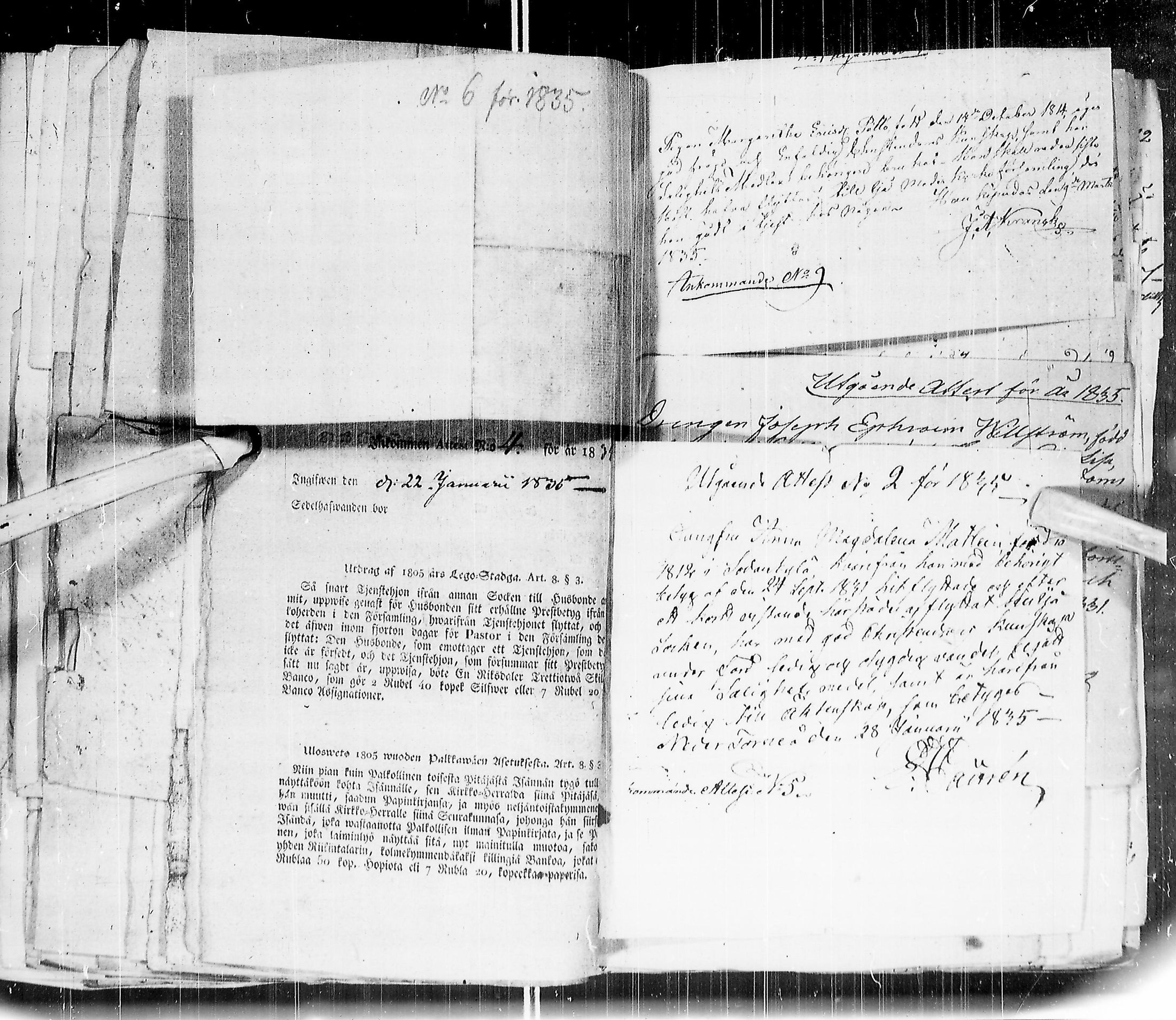 [ kuvat/117.jpg ]