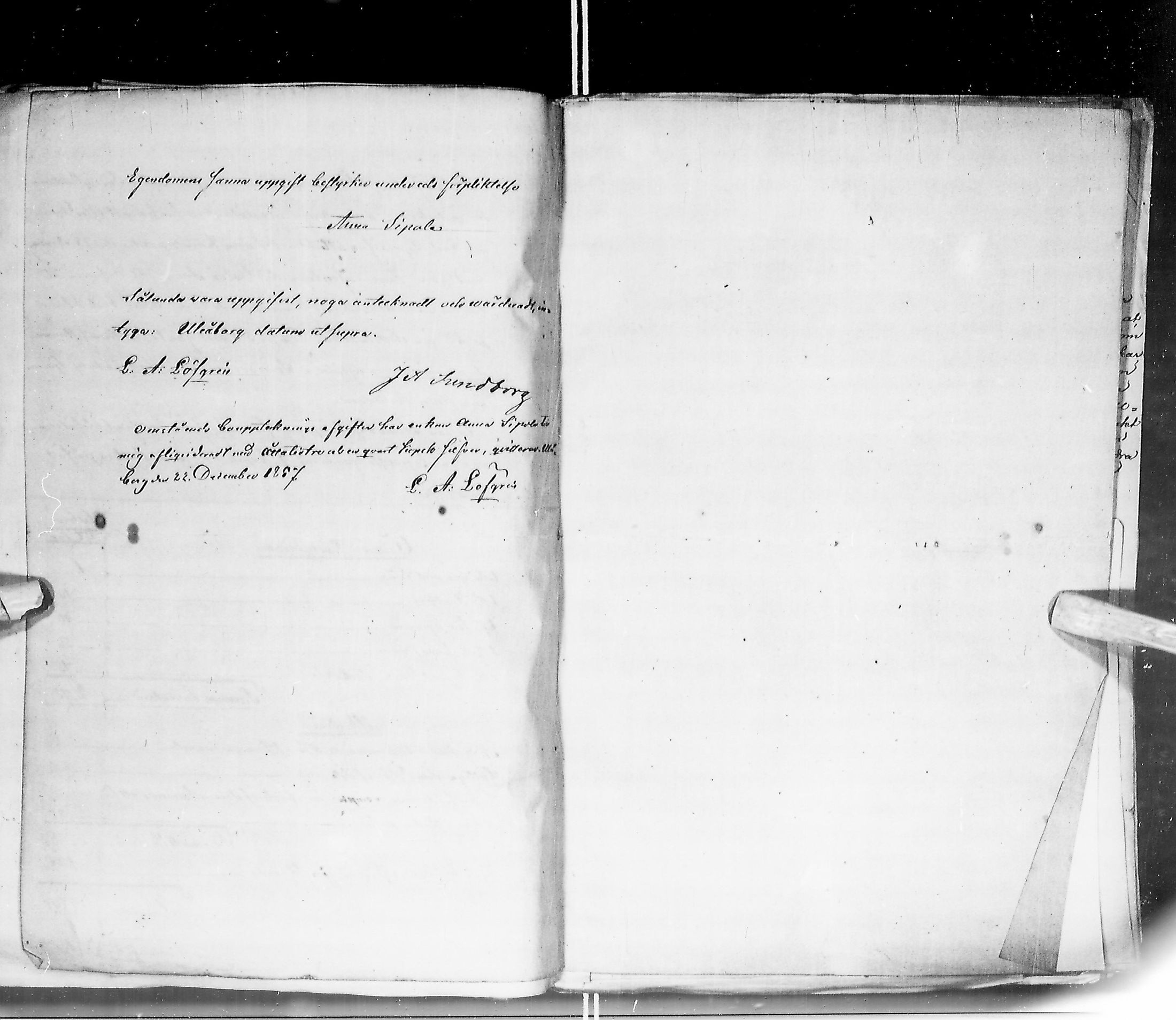 [ kuvat/233.jpg ]