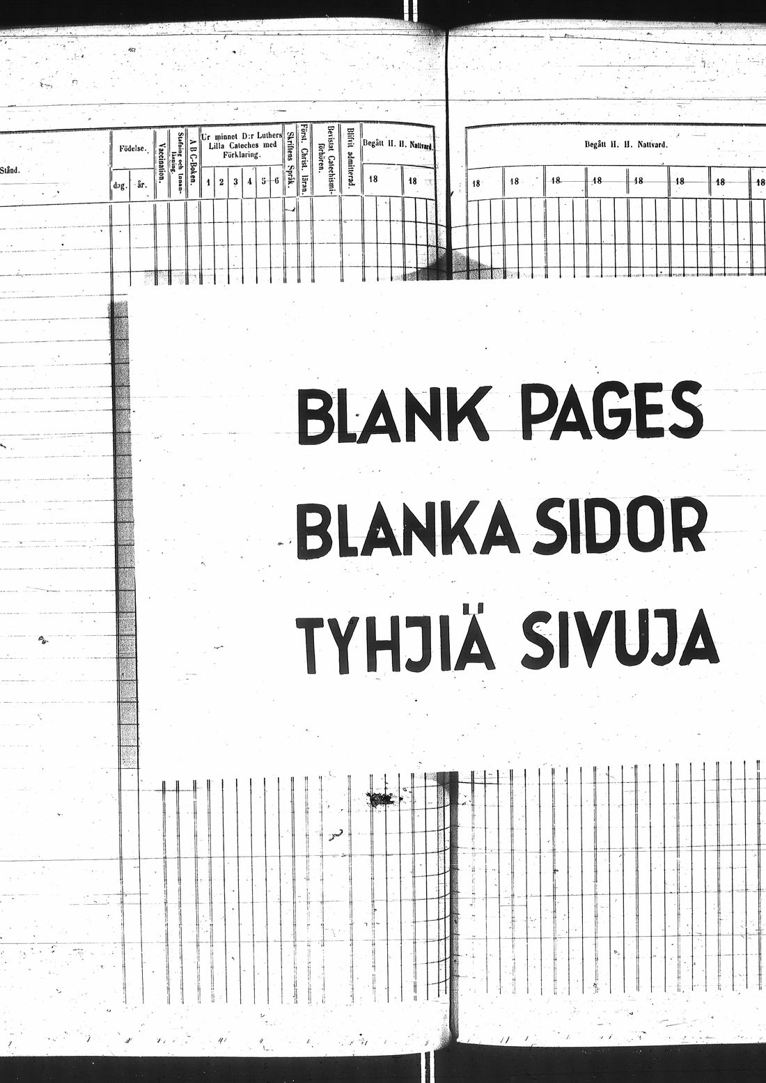 [ kuvat/334.jpg ]