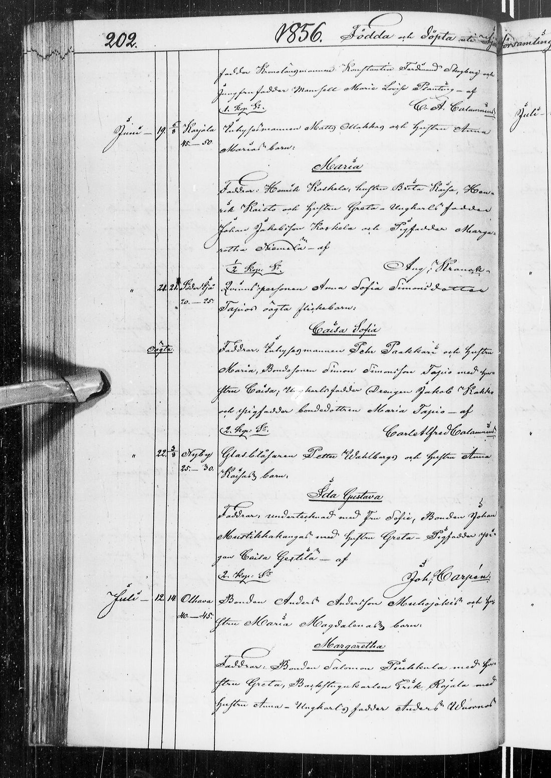 [ kuvat/173.jpg ]