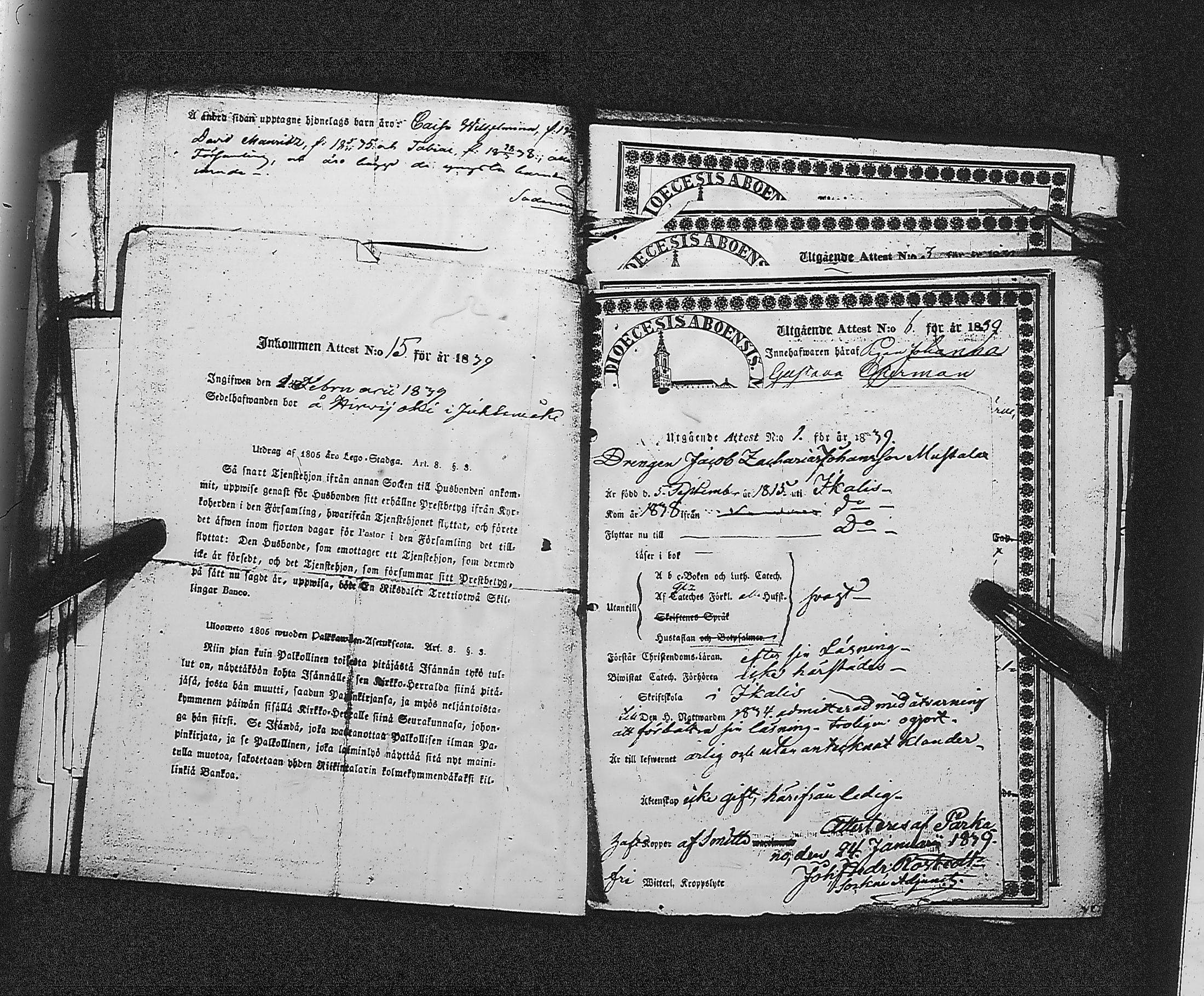 [ kuvat/184.jpg ]