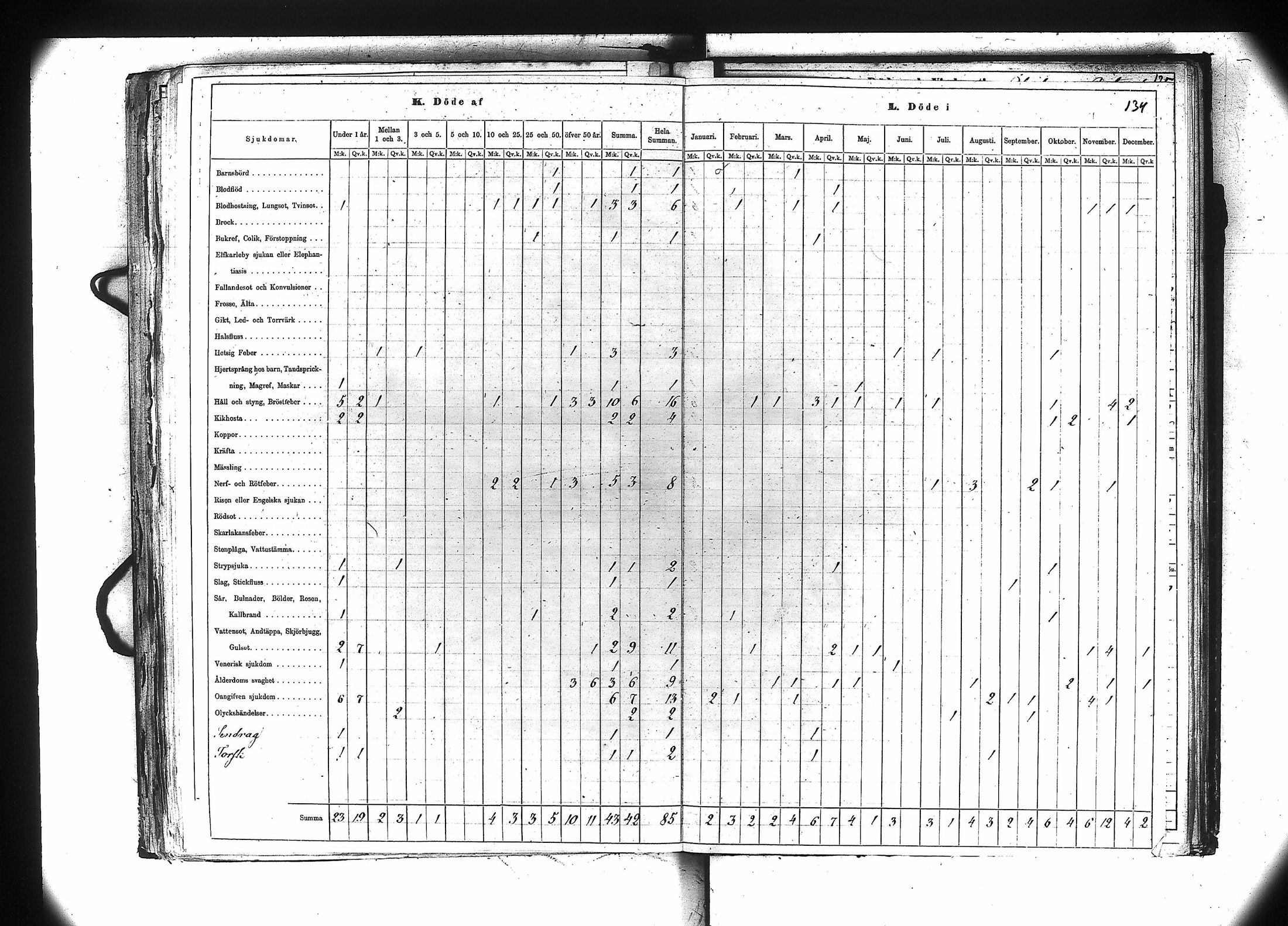 [ kuvat/135.jpg ]