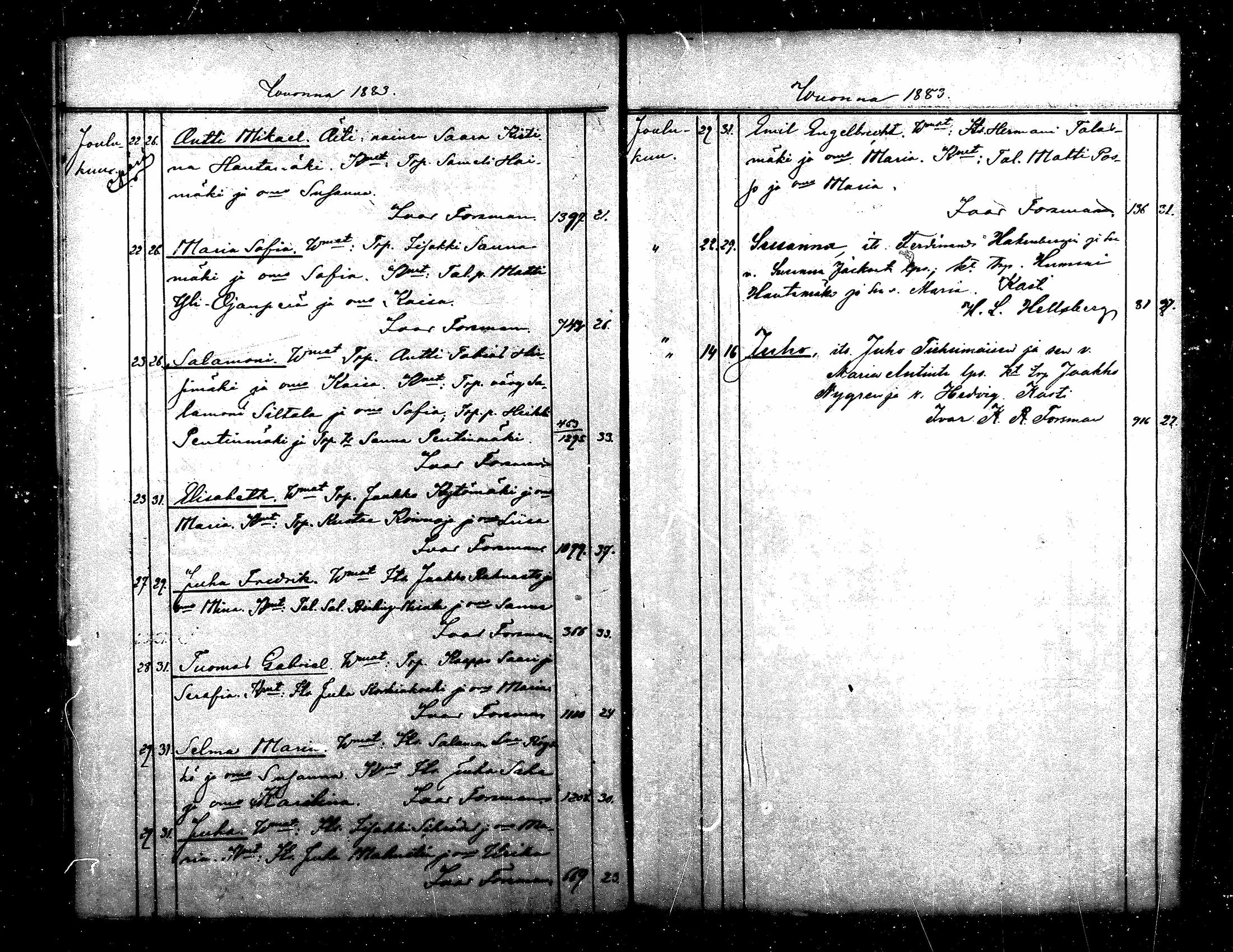 [ kuvat/310.jpg ]