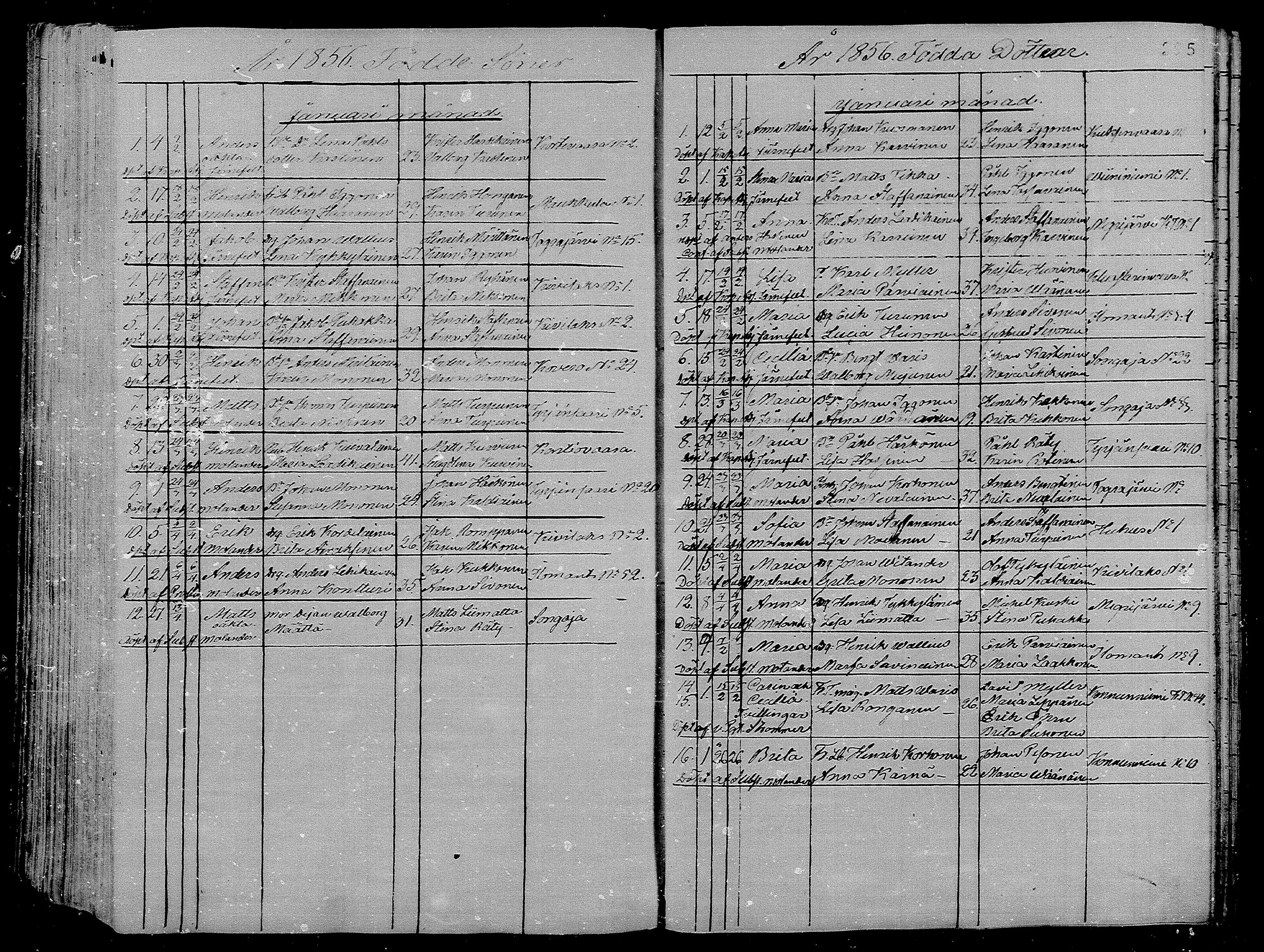 [ kuvat/295.jpg ]