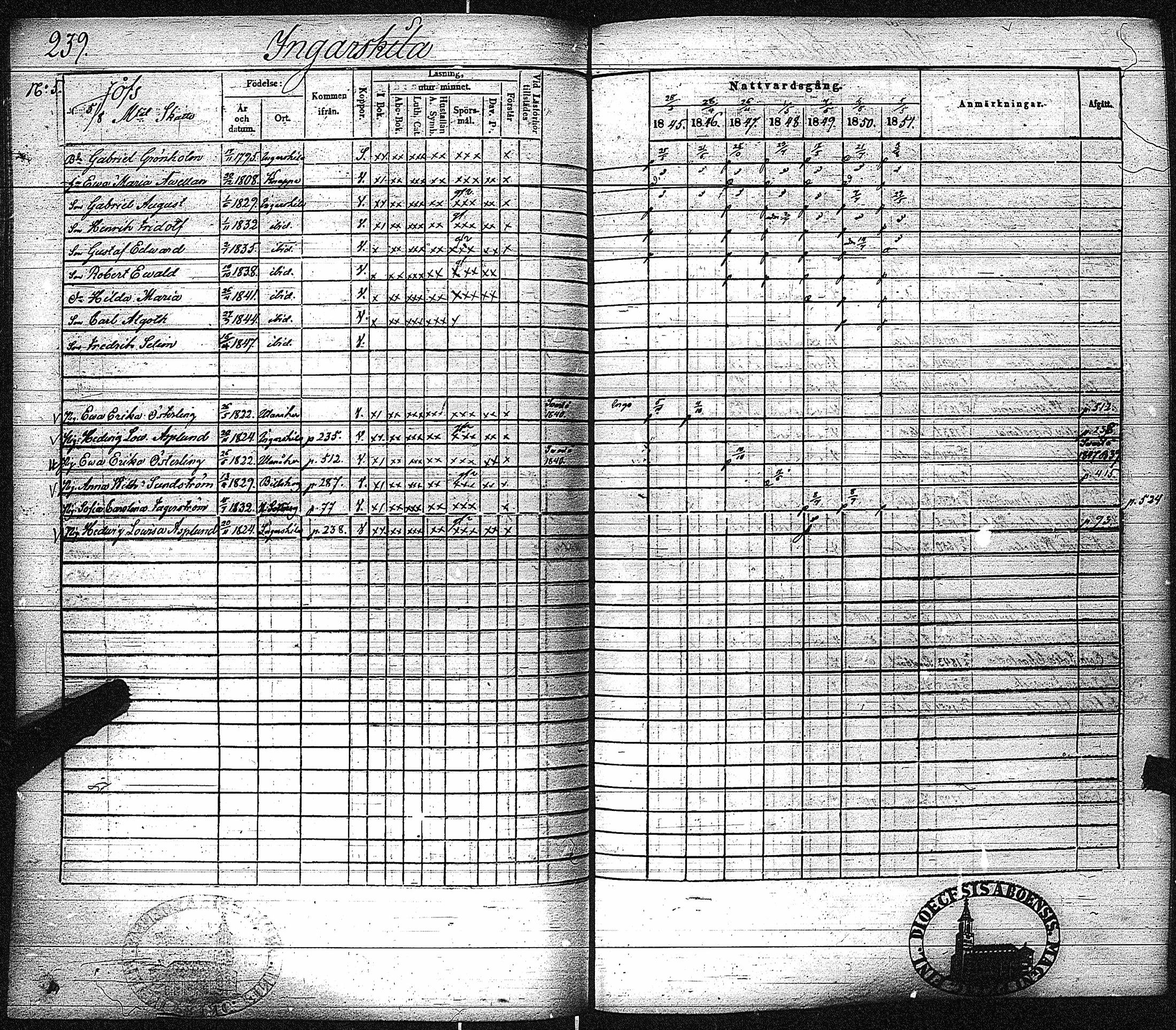[ kuvat/247.jpg ]