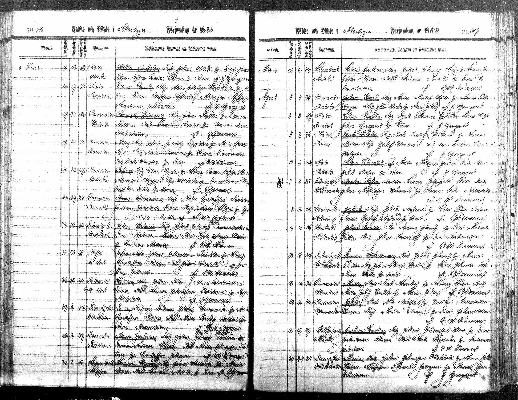 [ kuvat/113.jpg ]