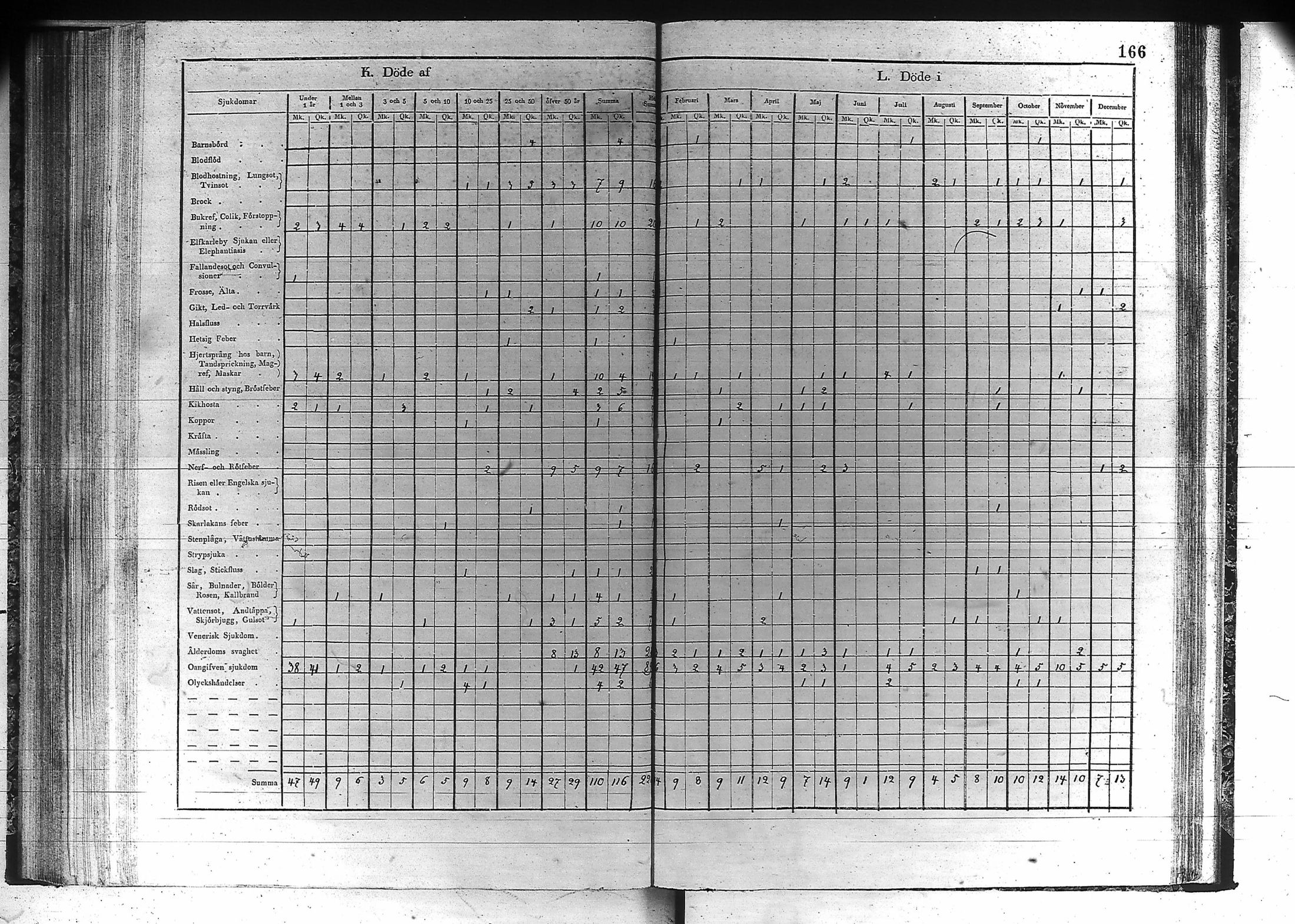 [ kuvat/167.jpg ]