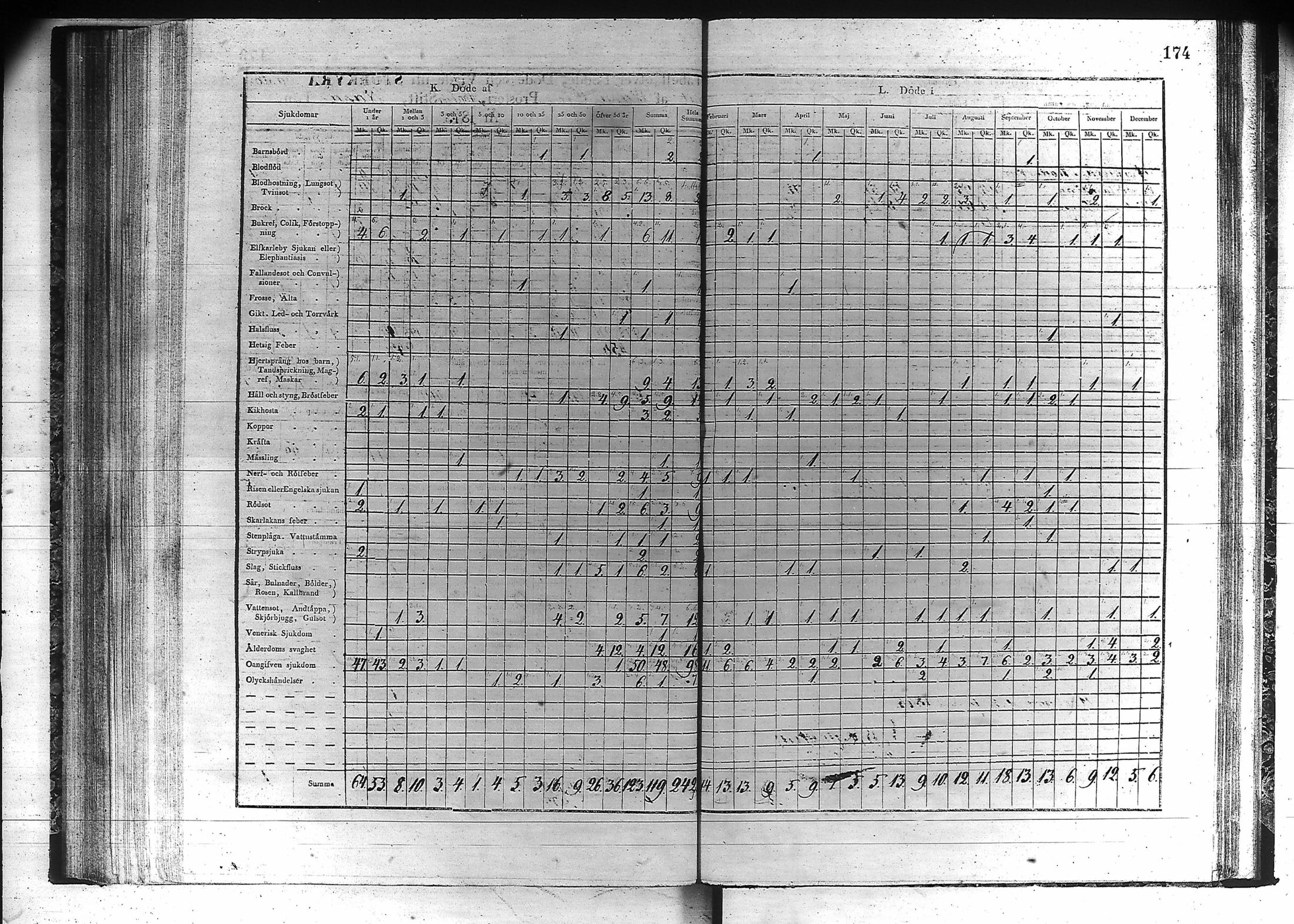 [ kuvat/175.jpg ]