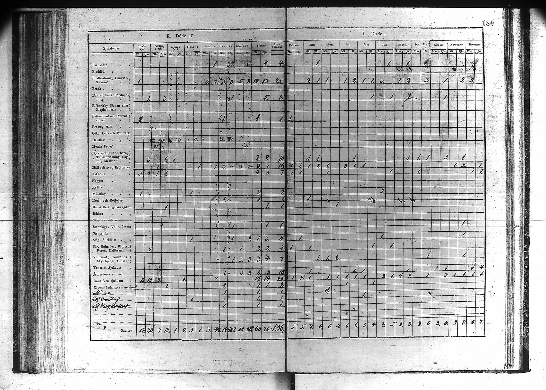 [ kuvat/181.jpg ]
