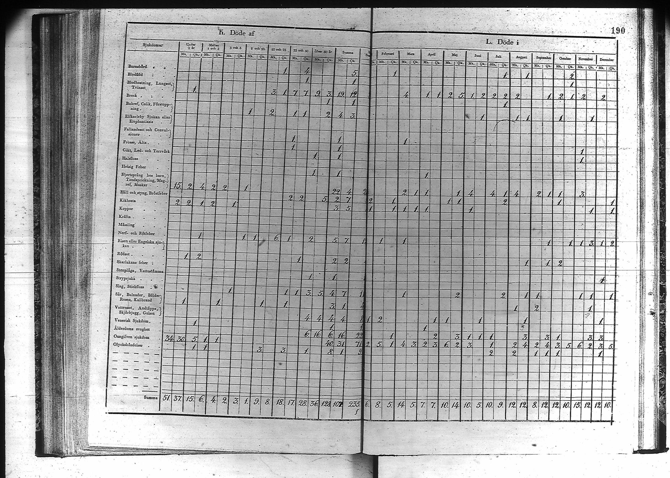 [ kuvat/191.jpg ]