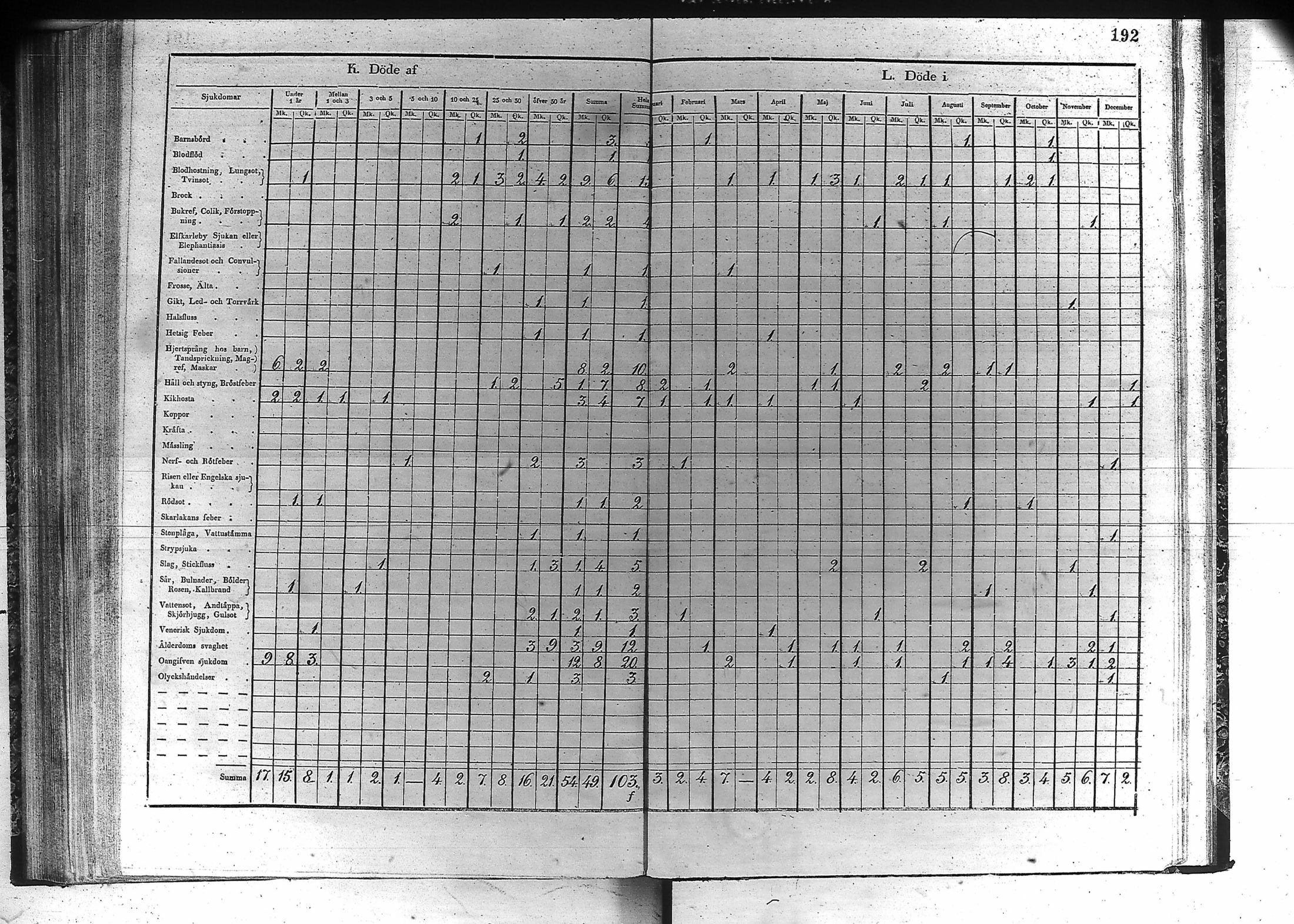 [ kuvat/193.jpg ]