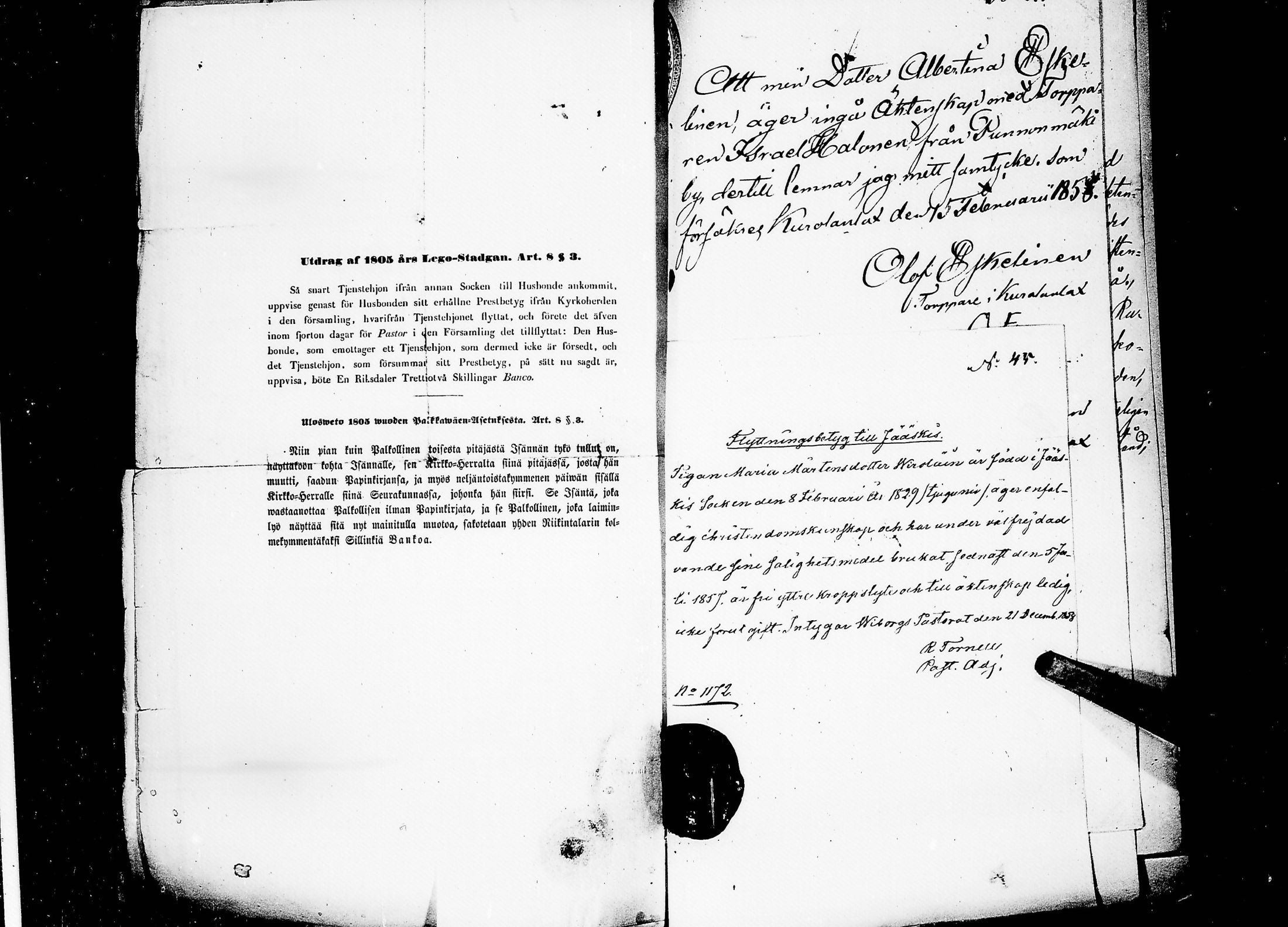 [ kuvat/495.jpg ]