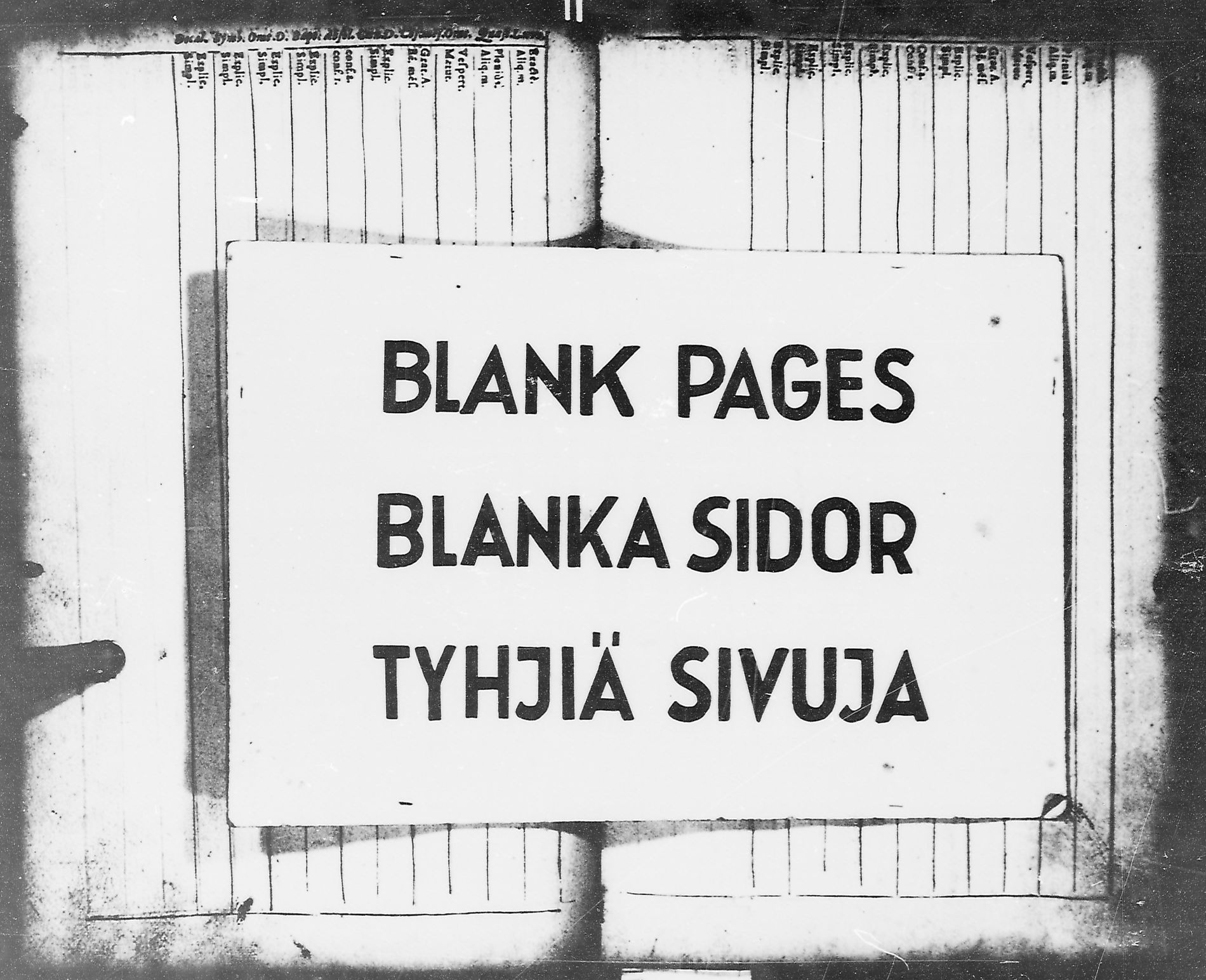 [ kuvat/111.jpg ]