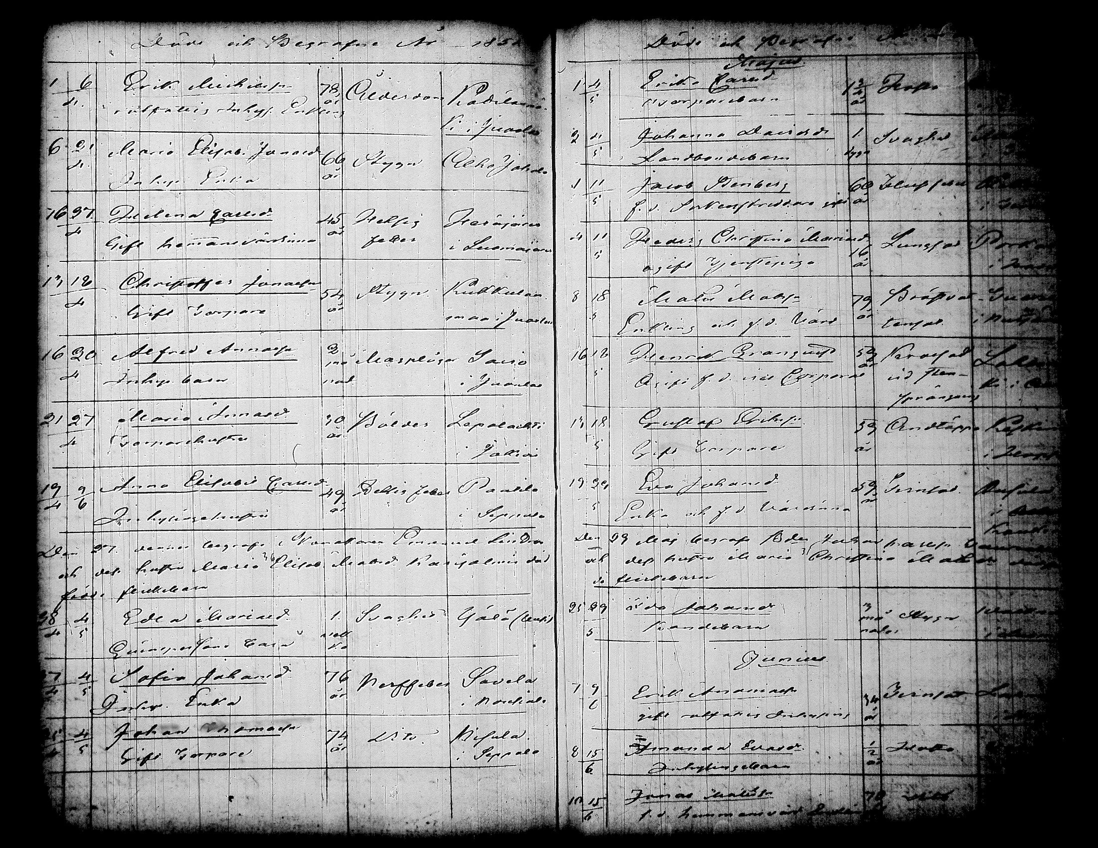 [ kuvat/1238.jpg ]