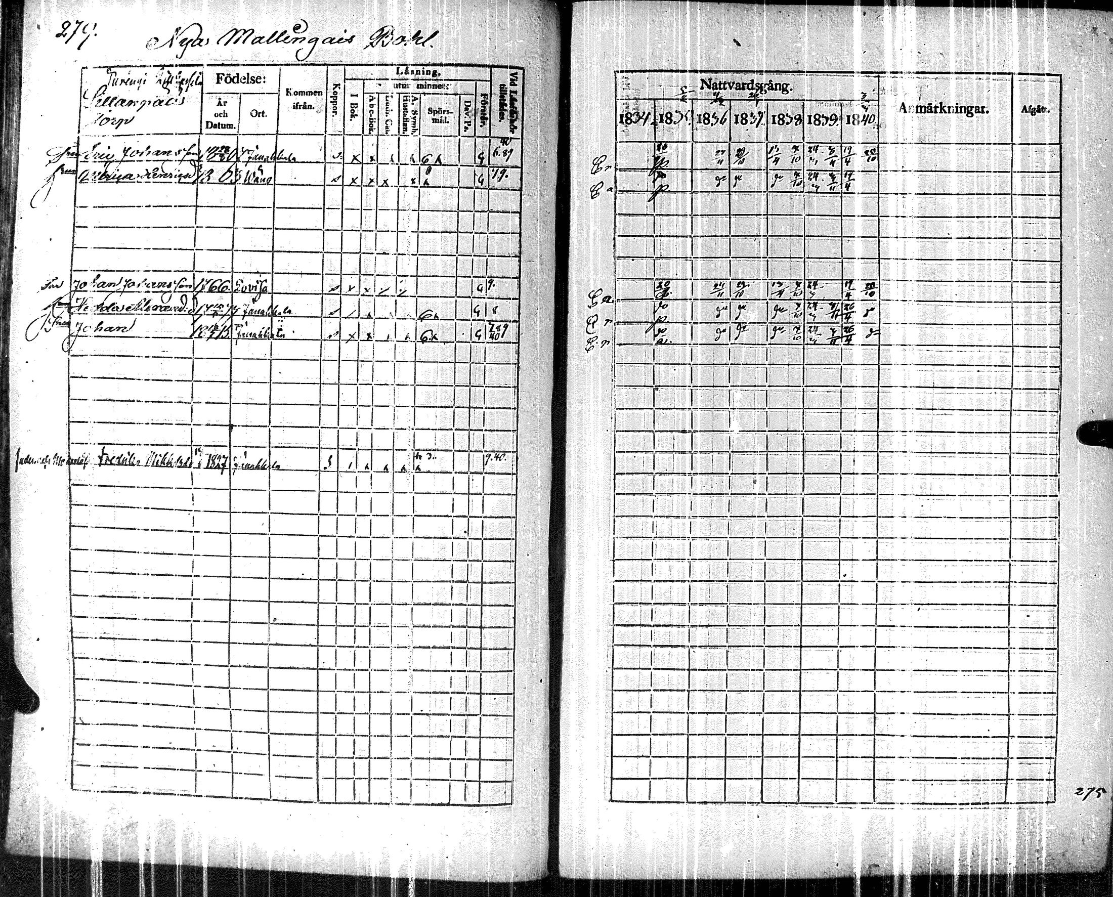 [ kuvat/295.jpg ]