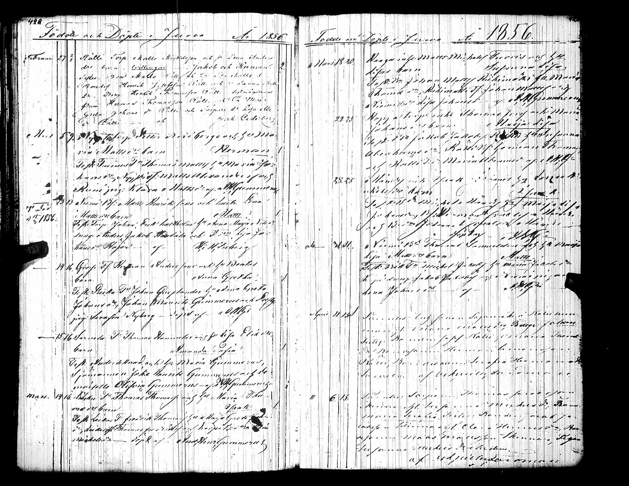 [ kuvat/221.jpg ]