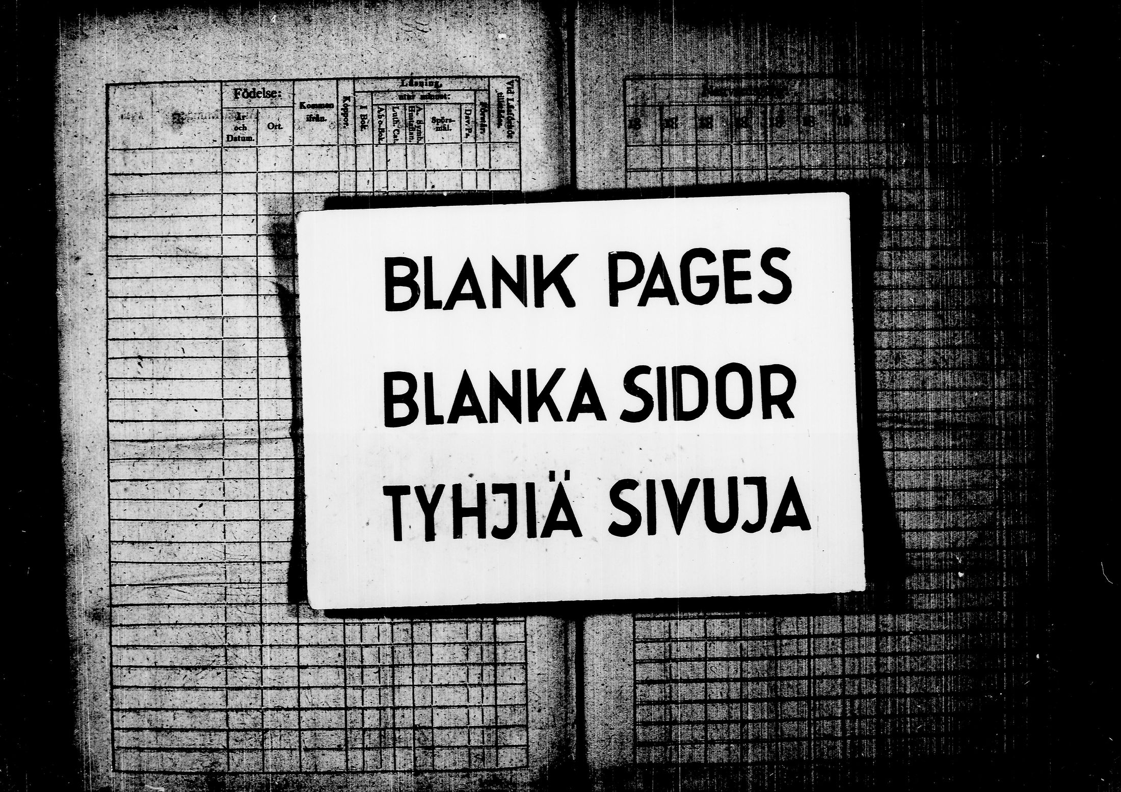 [ kuvat/297.jpg ]