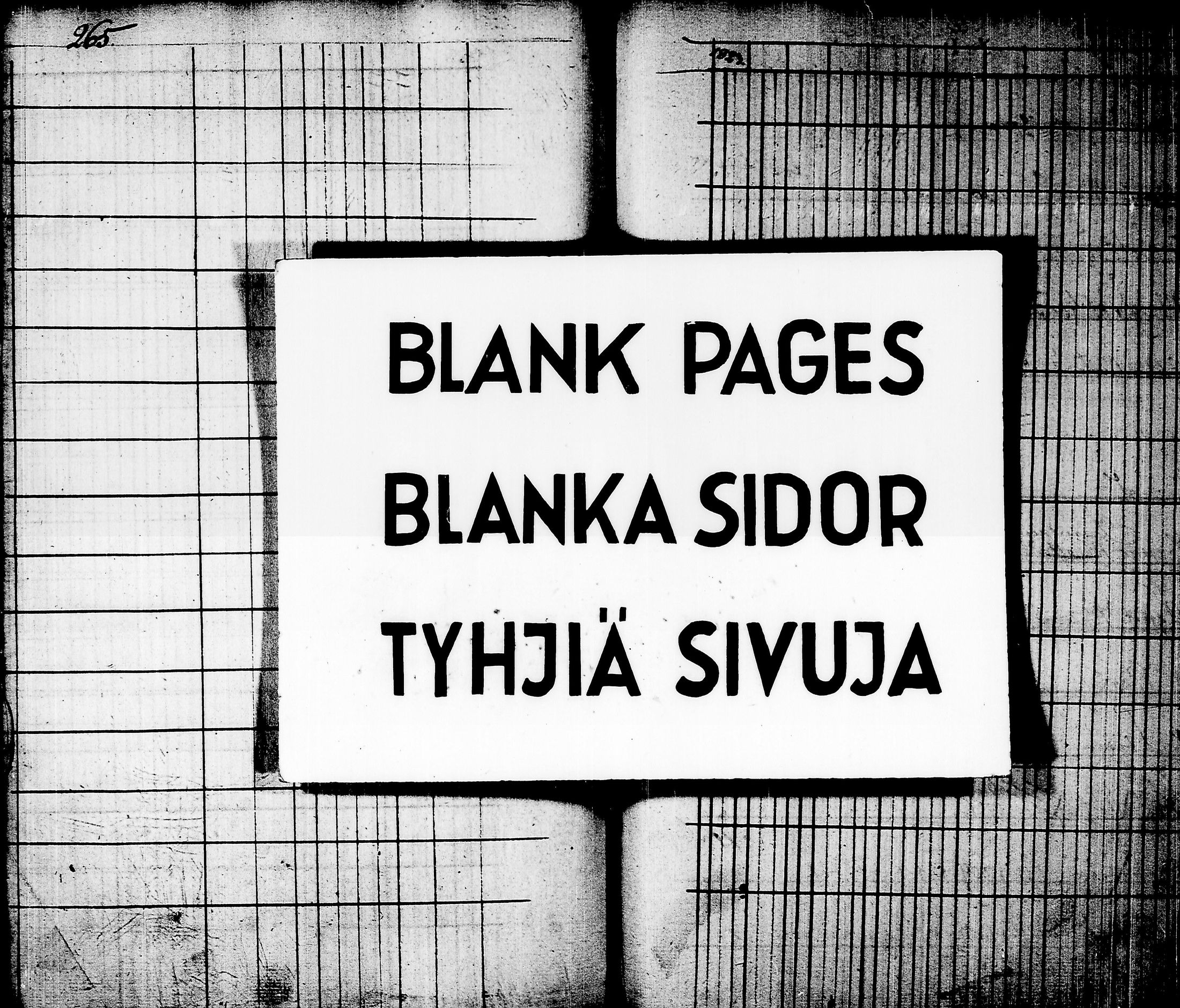 [ kuvat/262.jpg ]