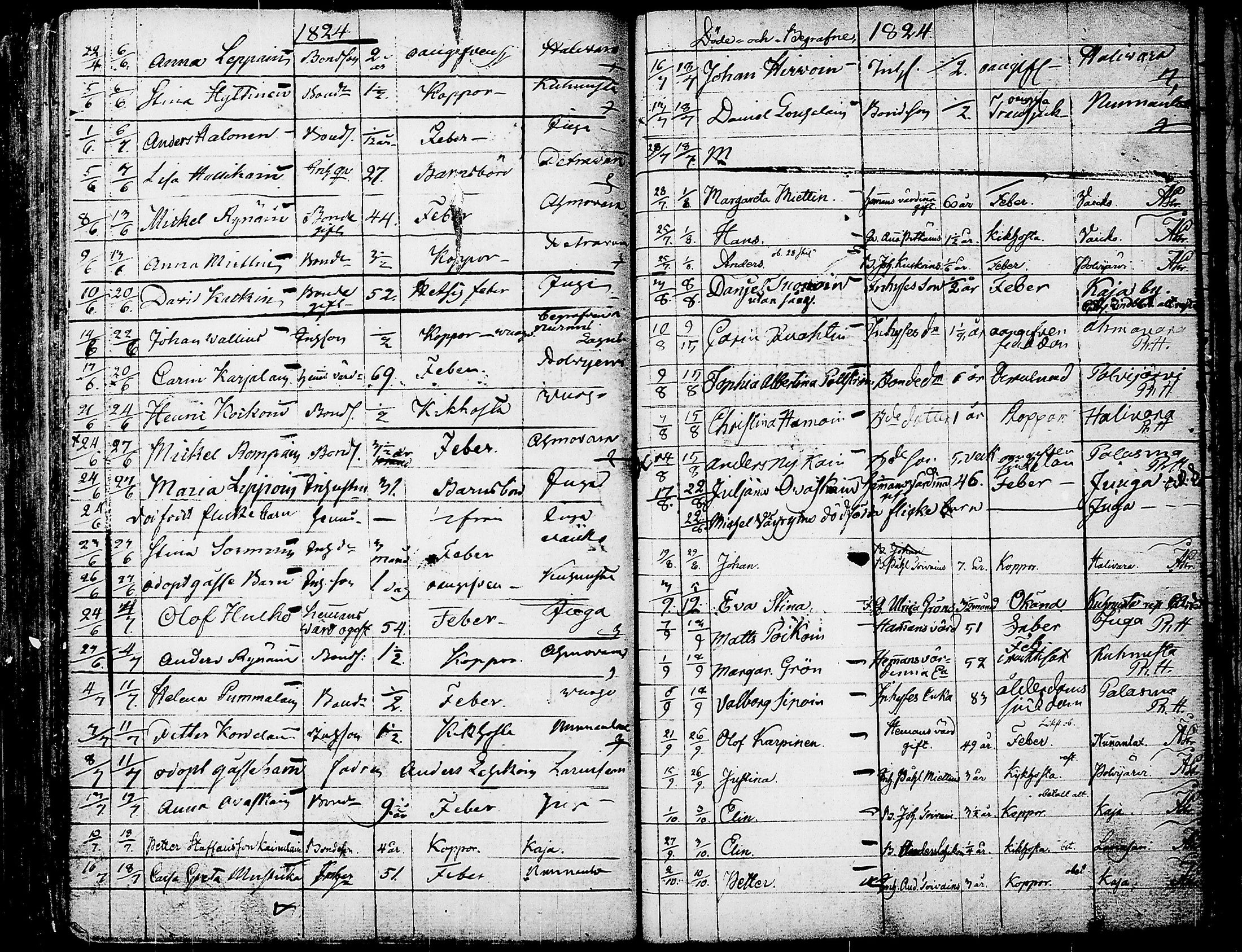 [ kuvat/172.jpg ]