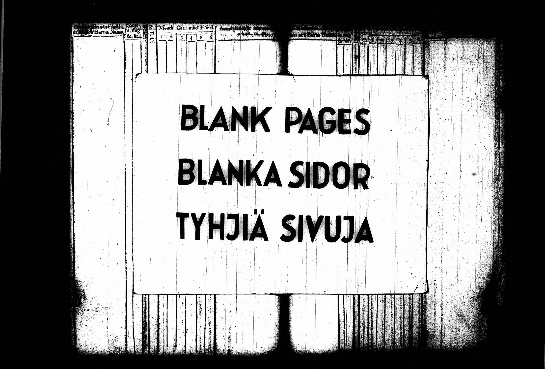 [ kuvat/218.jpg ]