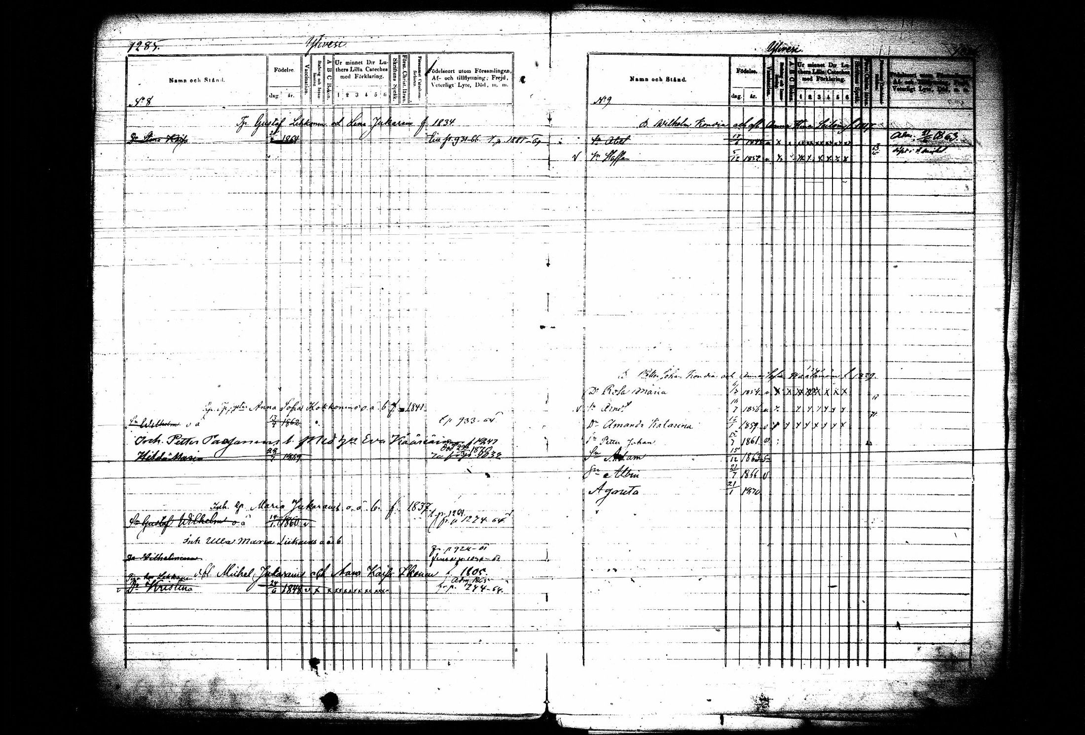 [ kuvat/311.jpg ]