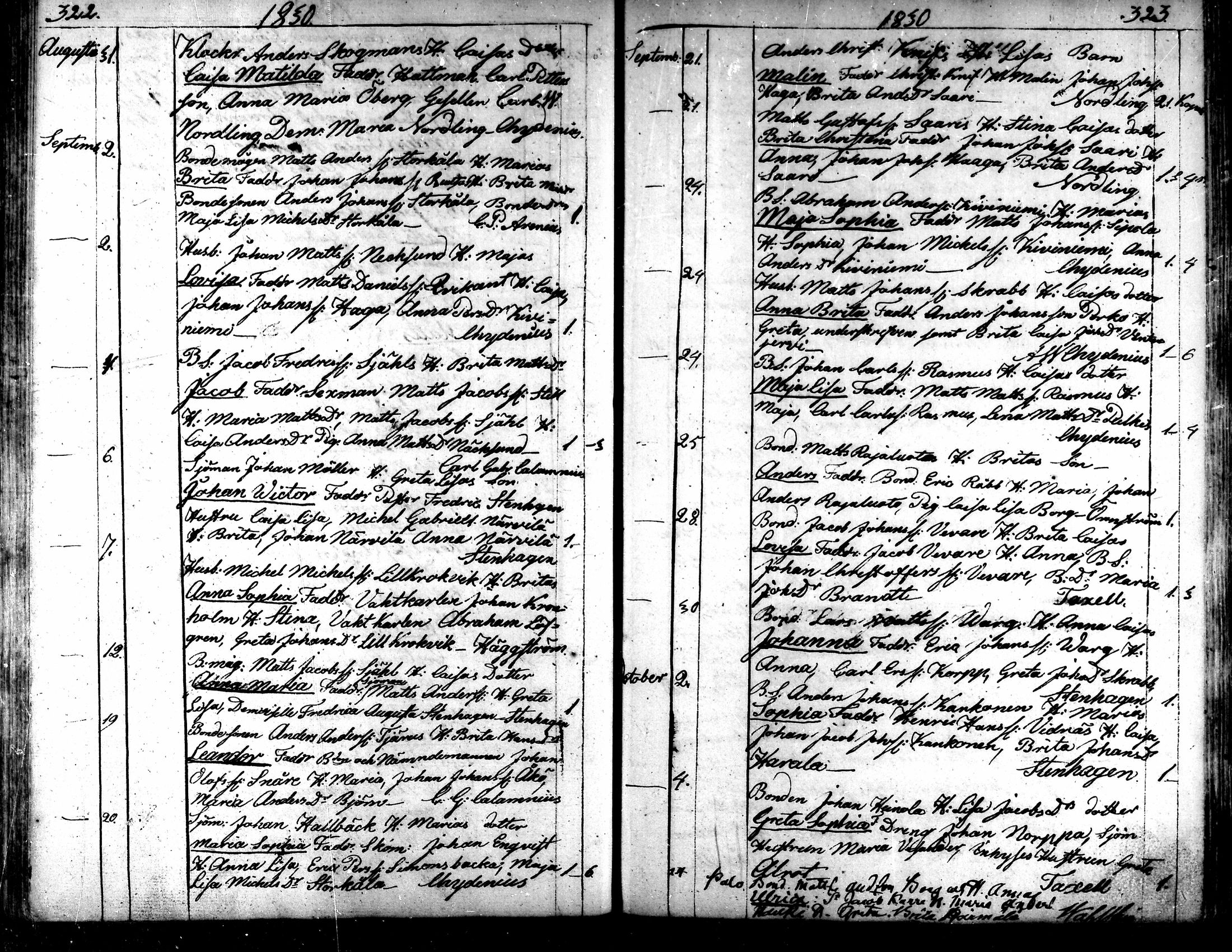 [ kuvat/162.jpg ]