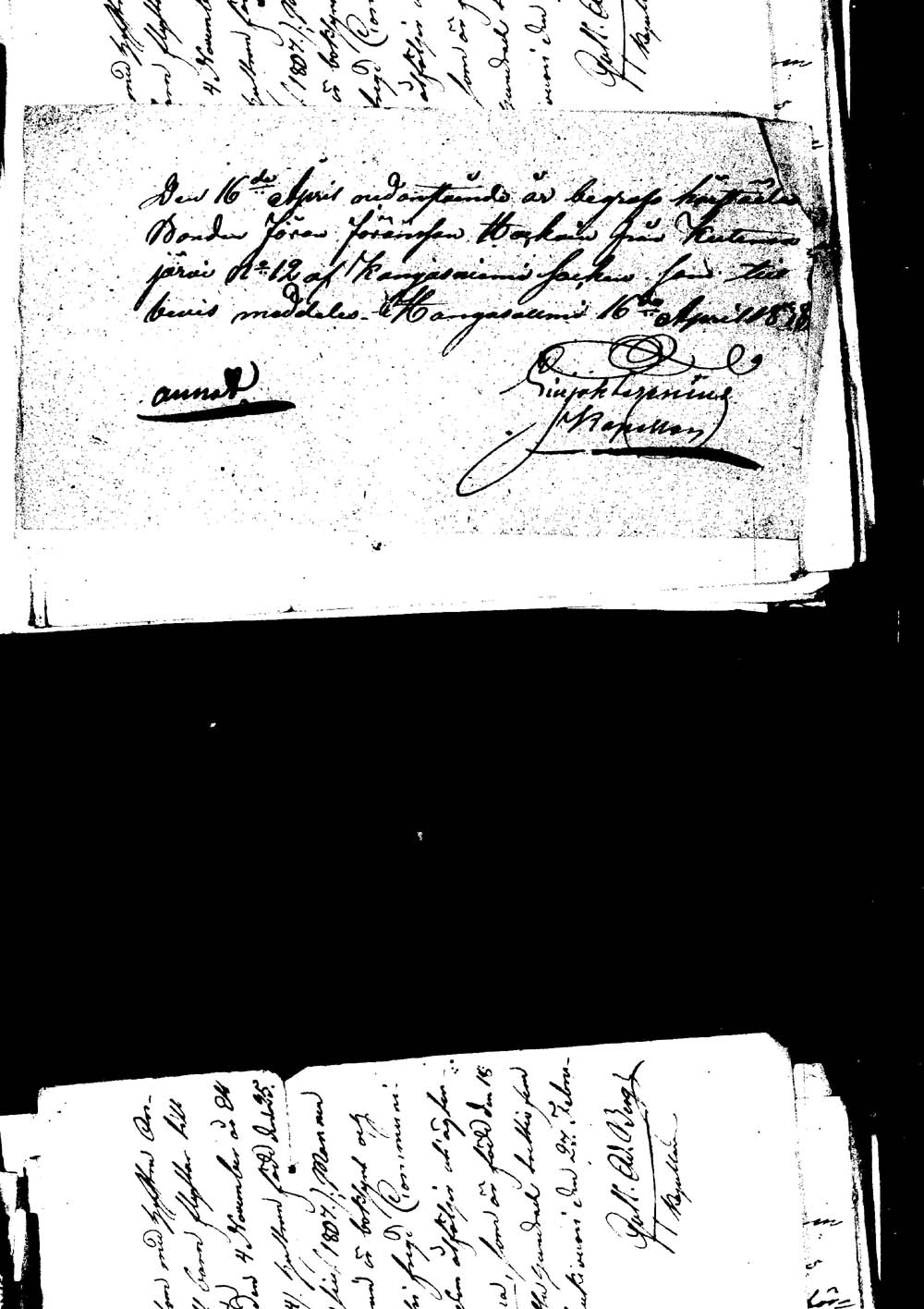 [ kuvat/396.jpg ]