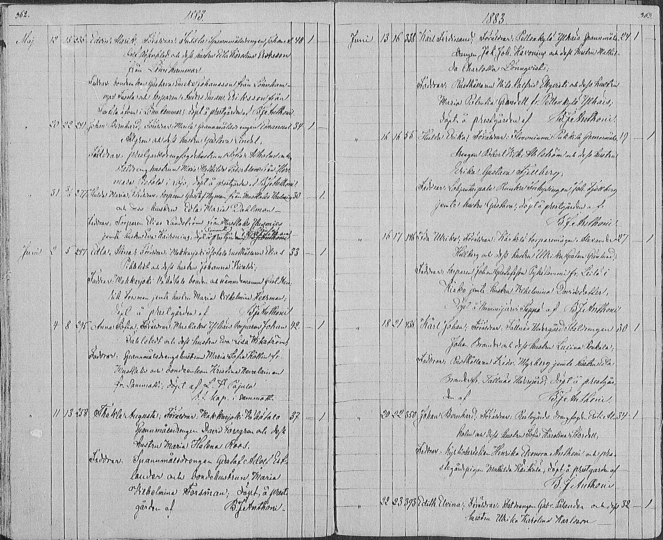 [ kuvat/183.jpg ]