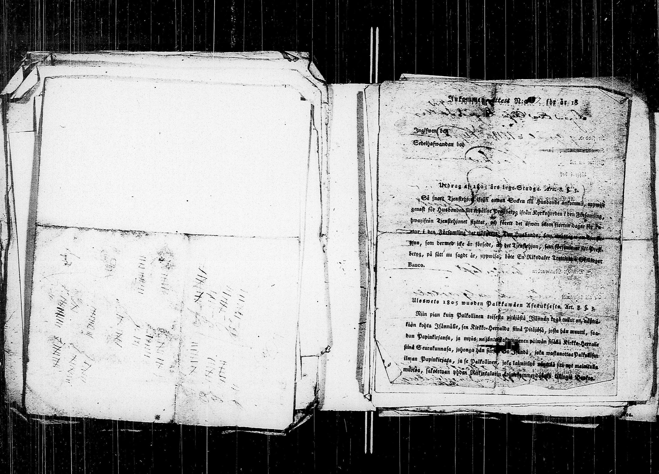 [ kuvat/263.jpg ]
