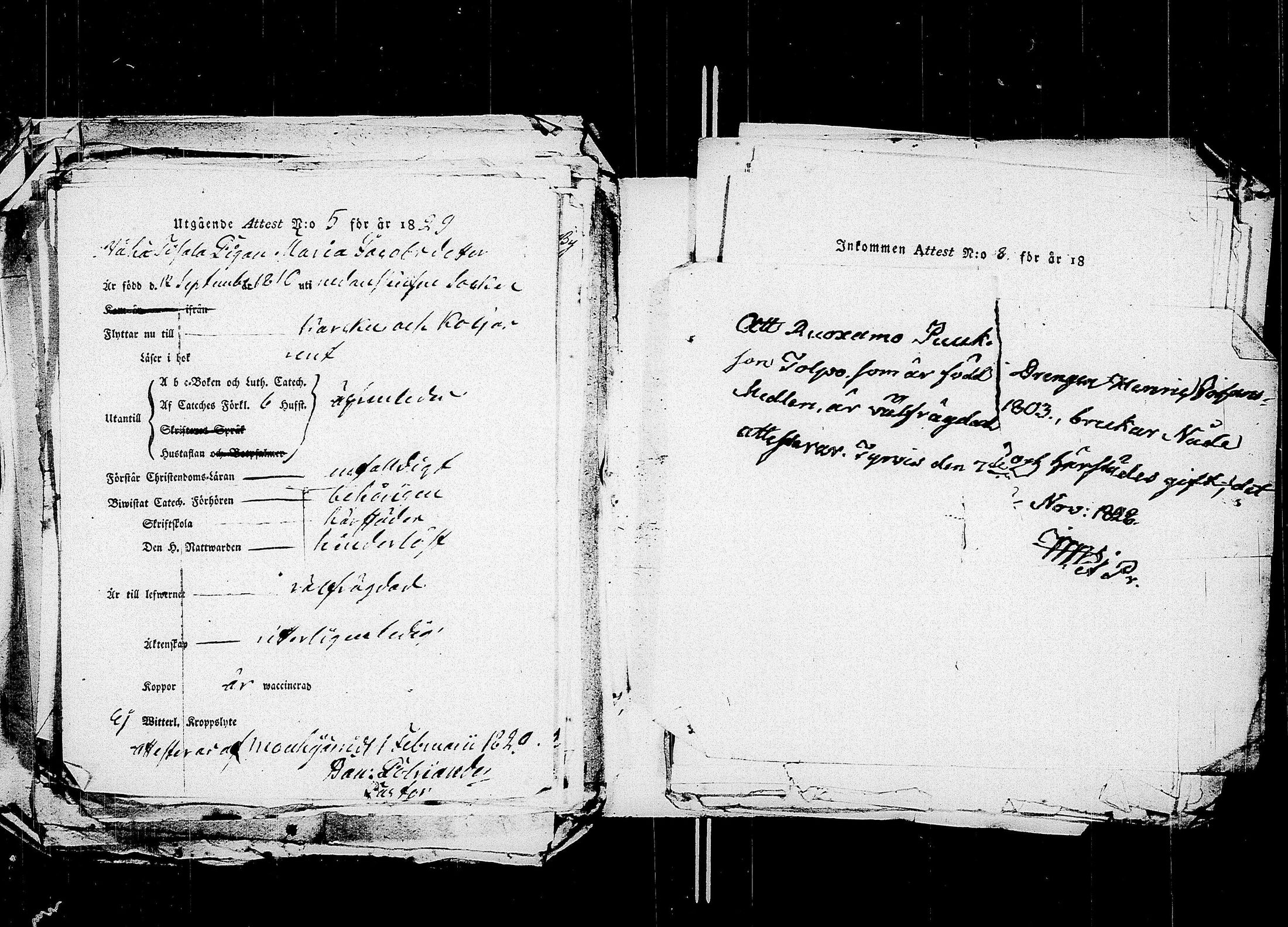 [ kuvat/315.jpg ]