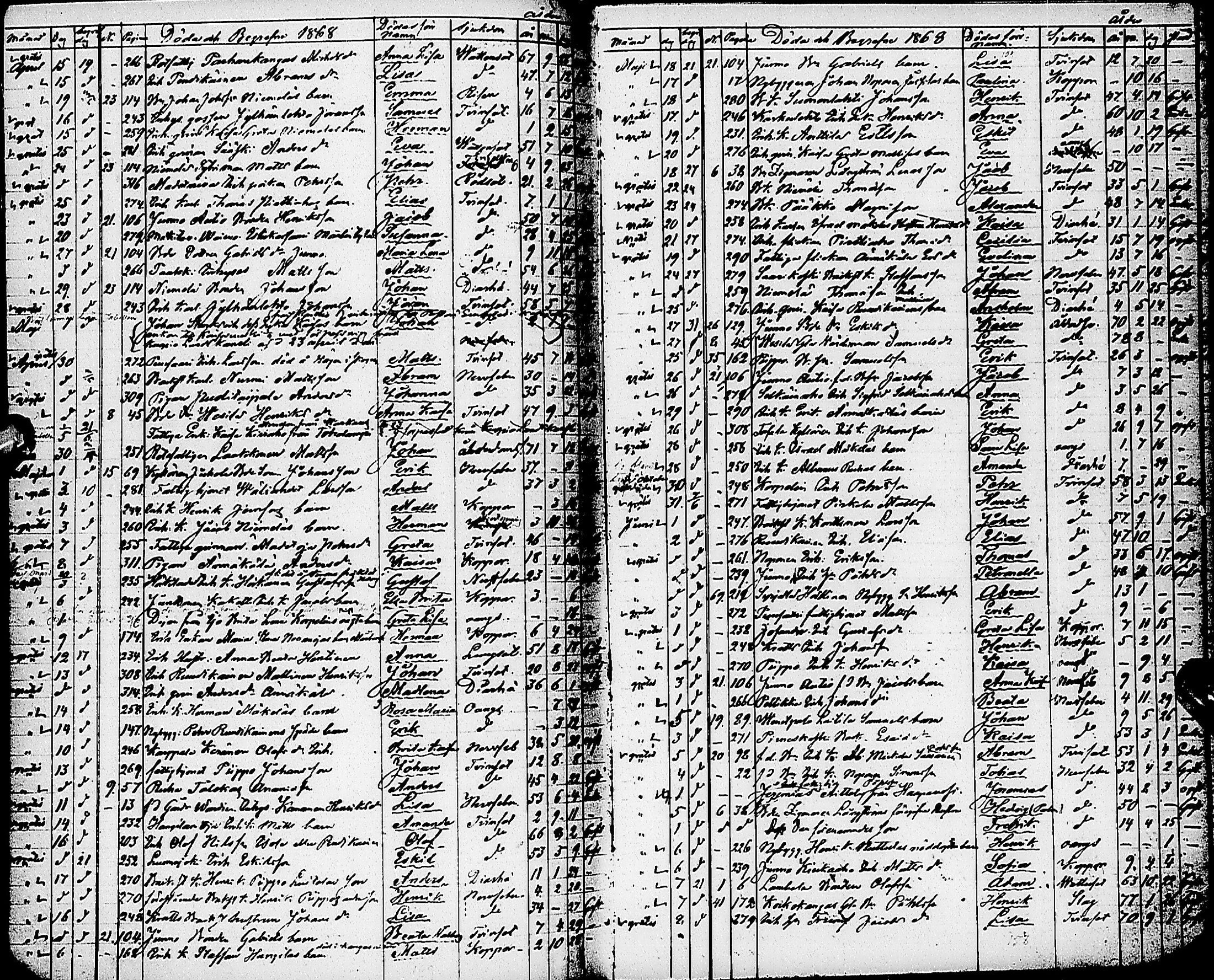[ kuvat/153.jpg ]