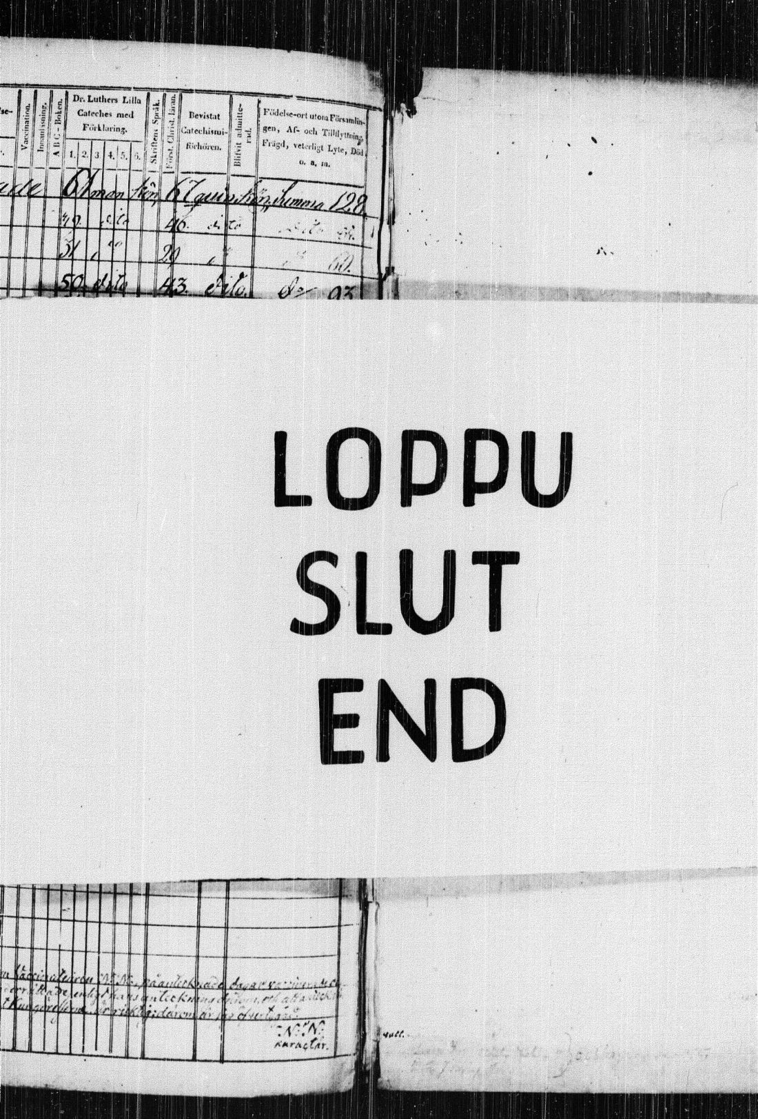 [ kuvat/462.jpg ]